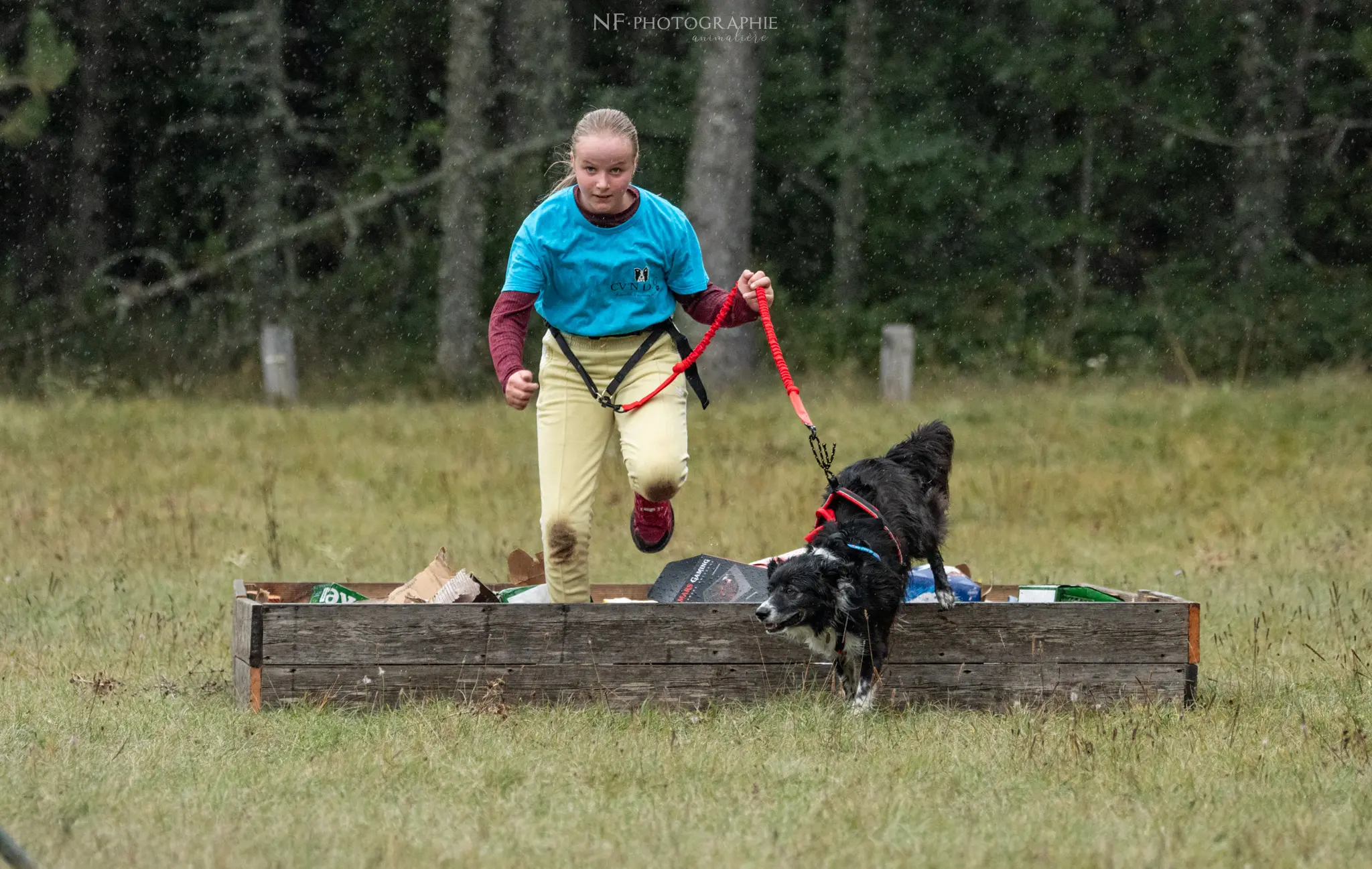 Cani-Parcours - Édition 2024 - Canifun