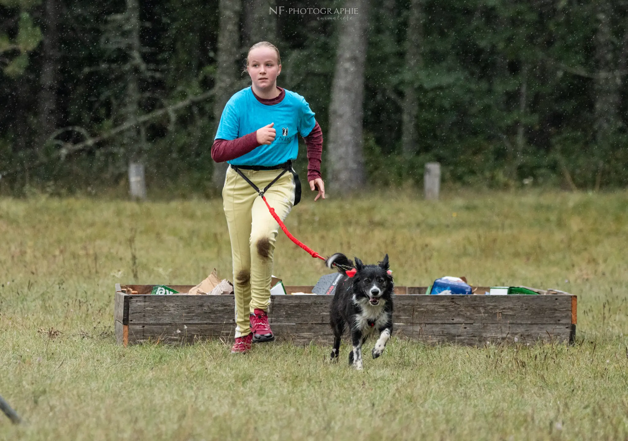 Cani-Parcours - Édition 2024 - Canifun