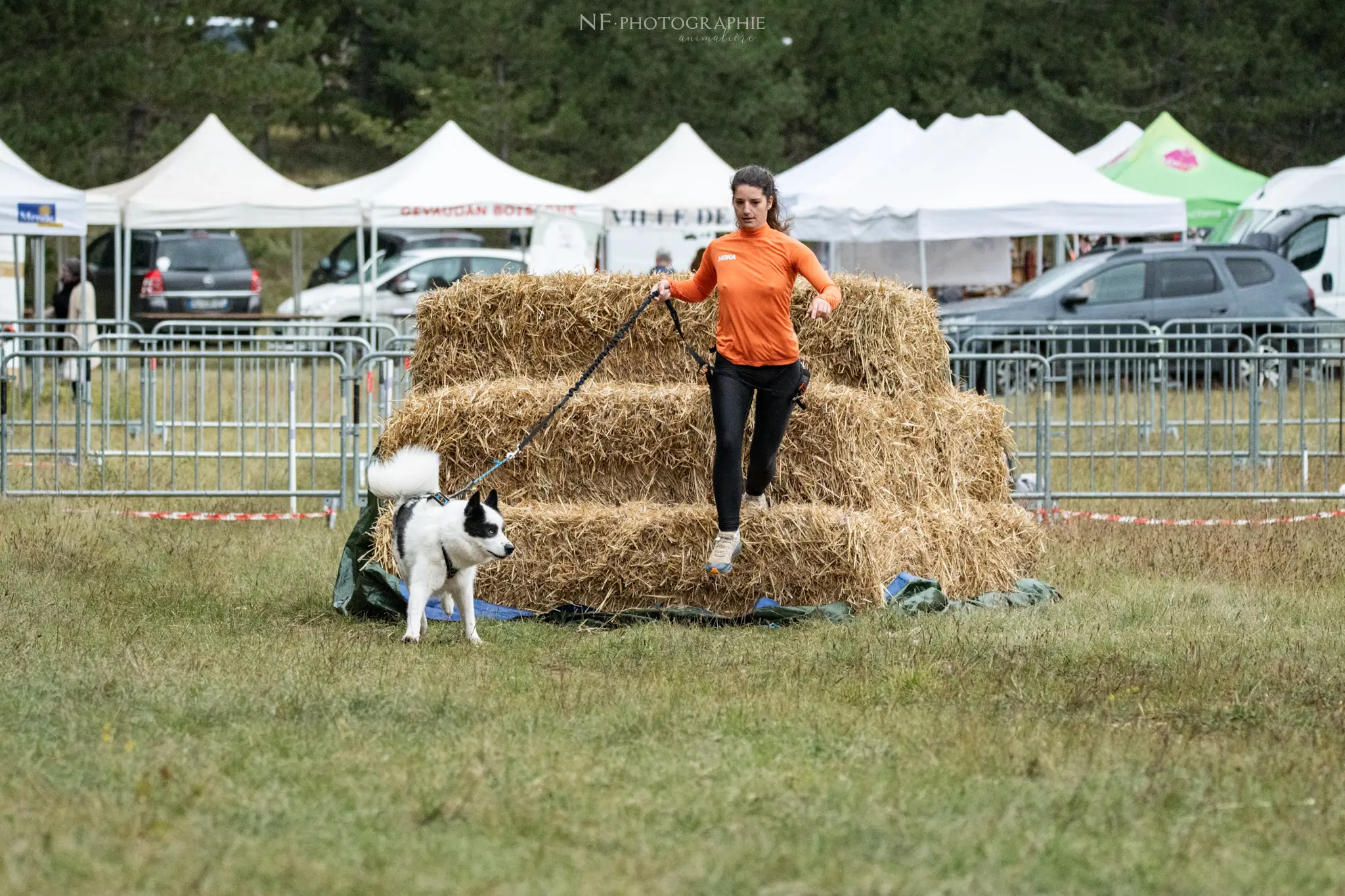 Cani-Parcours - Édition 2024 - Canifun