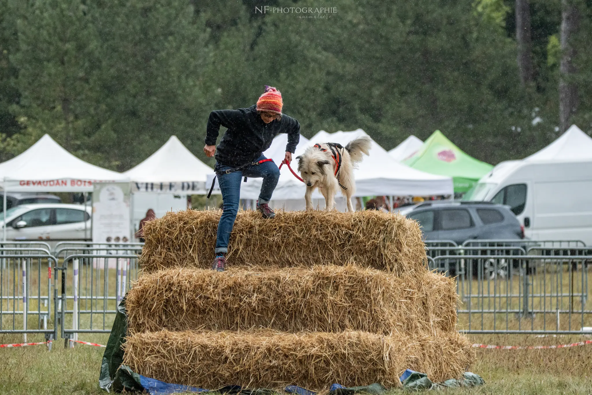 Cani-Parcours - Édition 2024 - Canifun