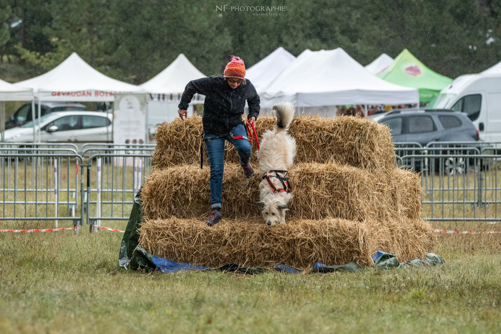 Cani-Parcours - Édition 2024 - Canifun