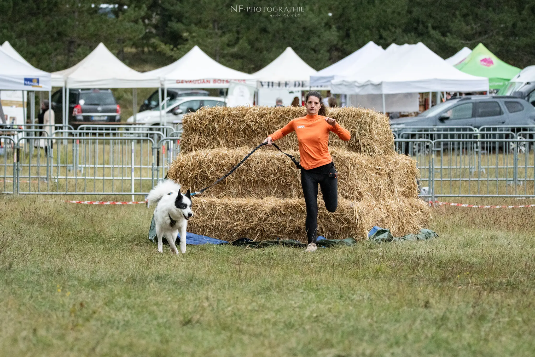 Cani-Parcours - Édition 2024 - Canifun