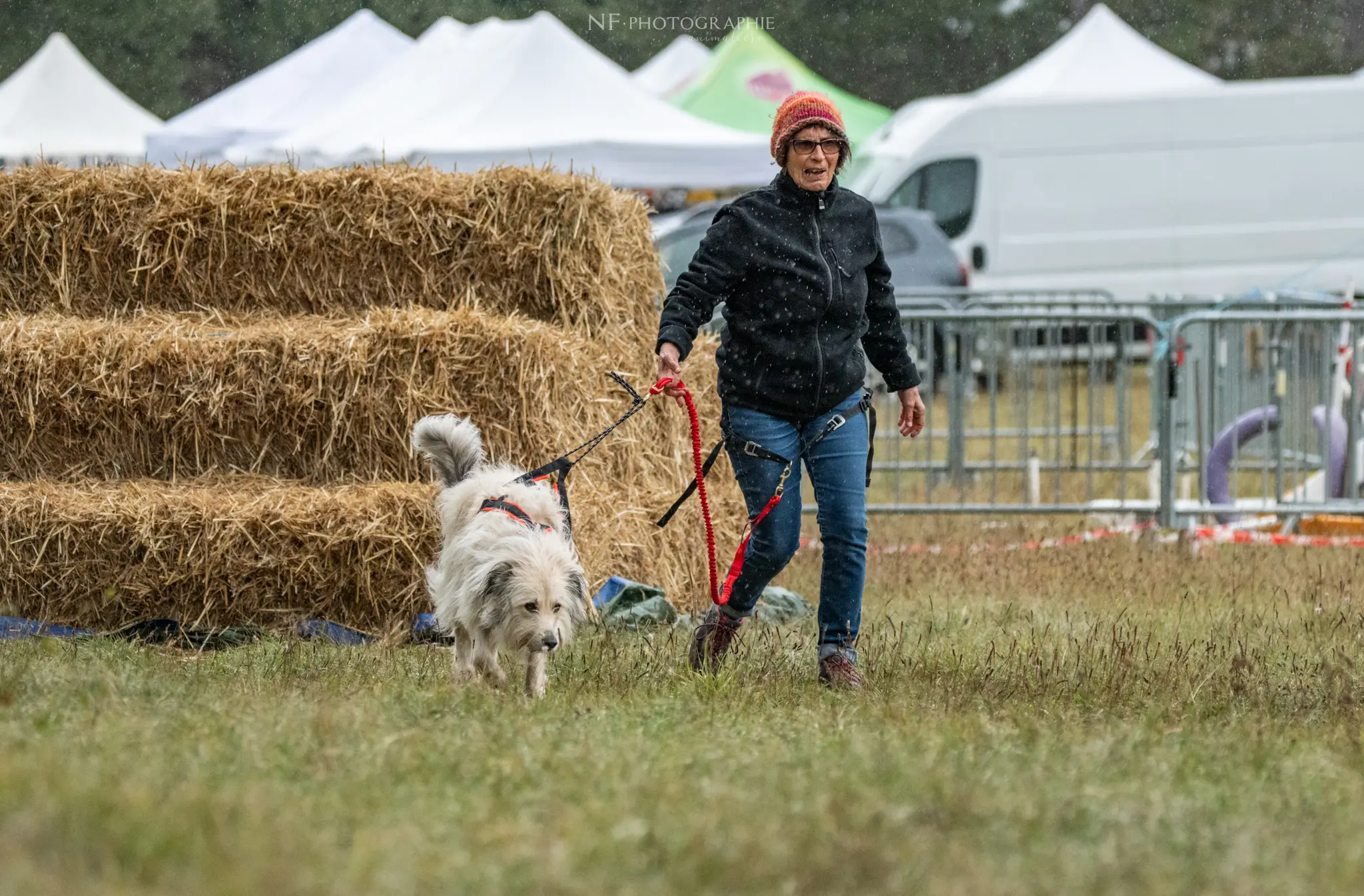 Cani-Parcours - Édition 2024 - Canifun