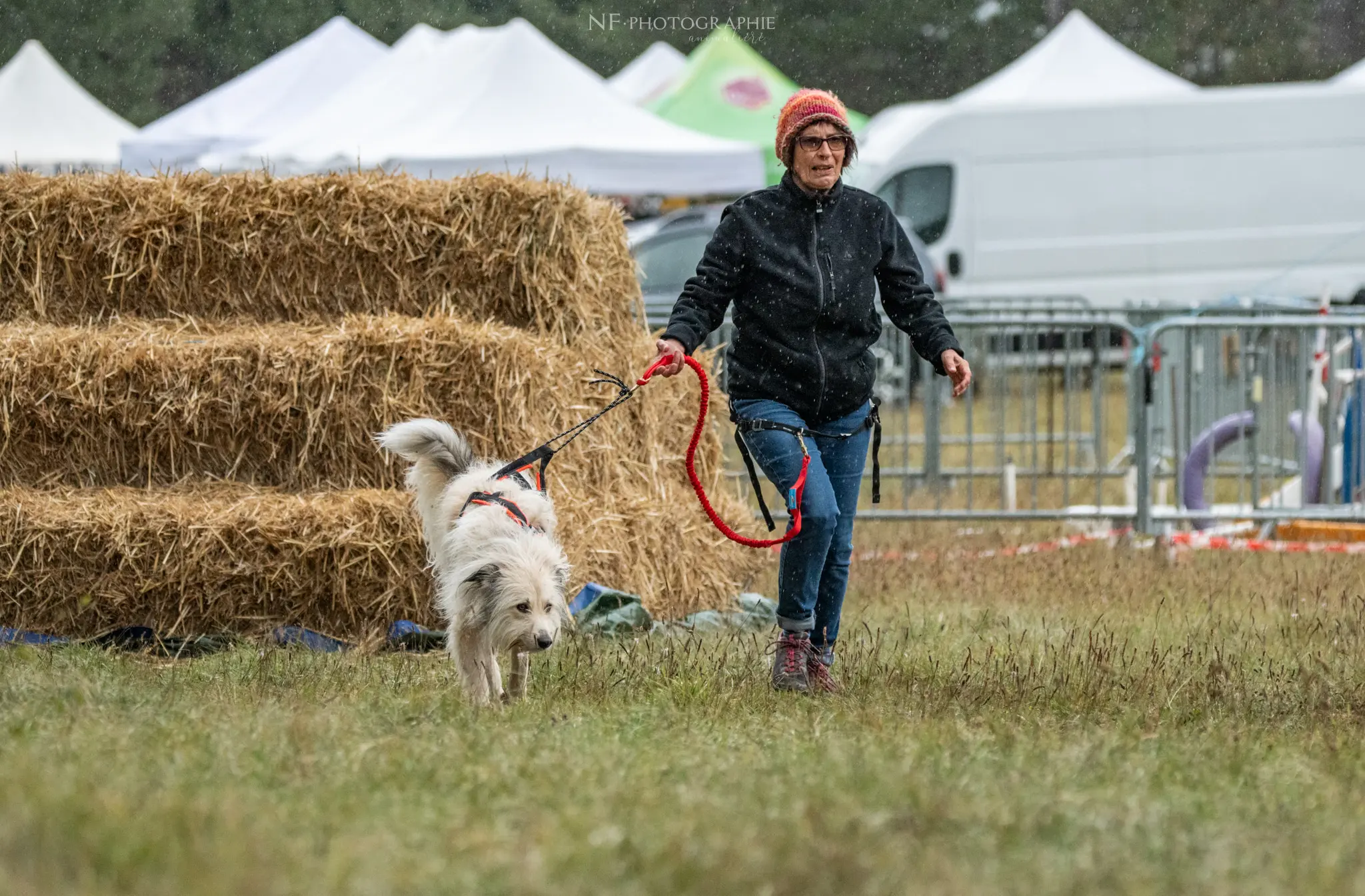 Cani-Parcours - Édition 2024 - Canifun