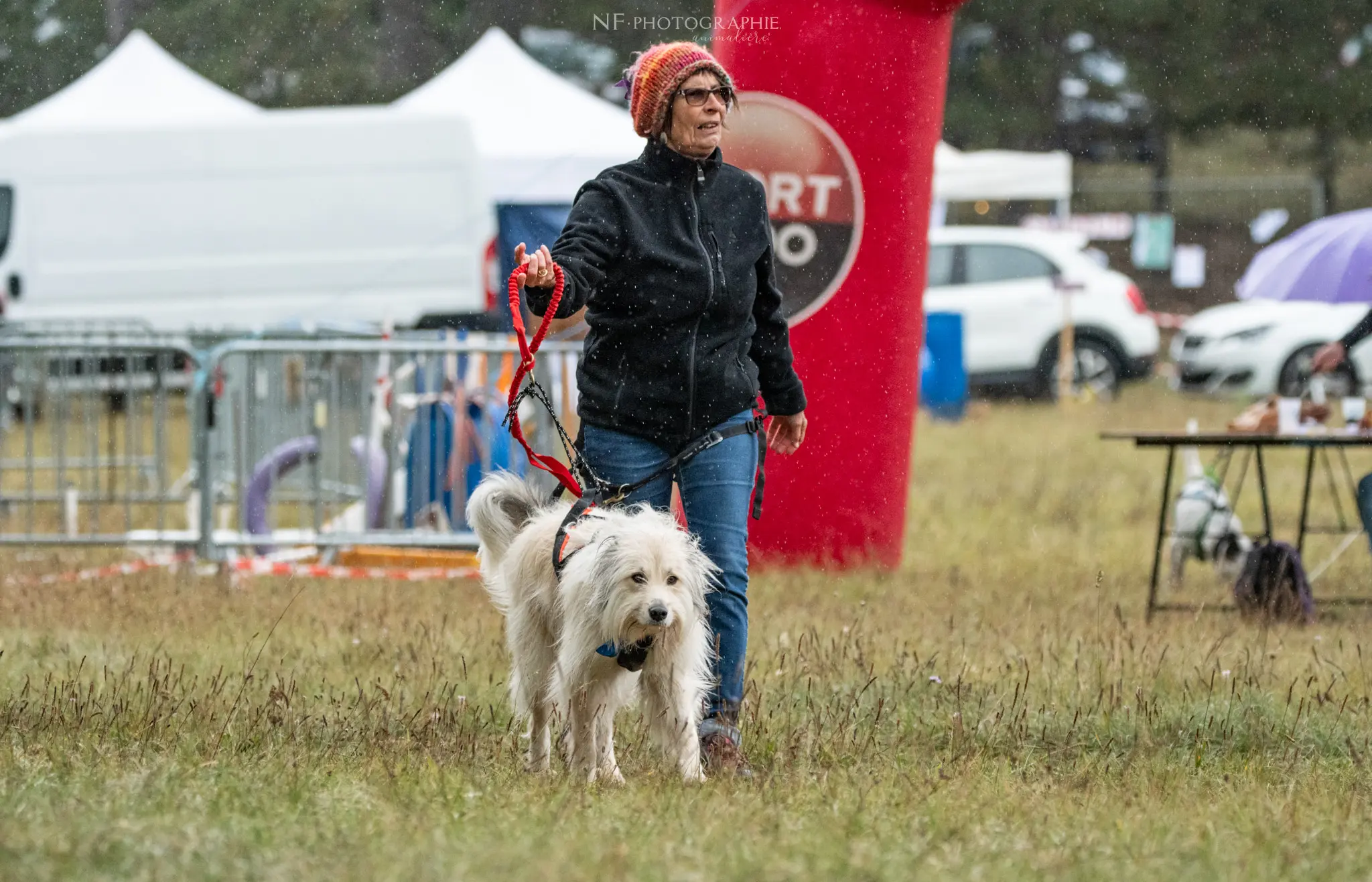 Cani-Parcours - Édition 2024 - Canifun