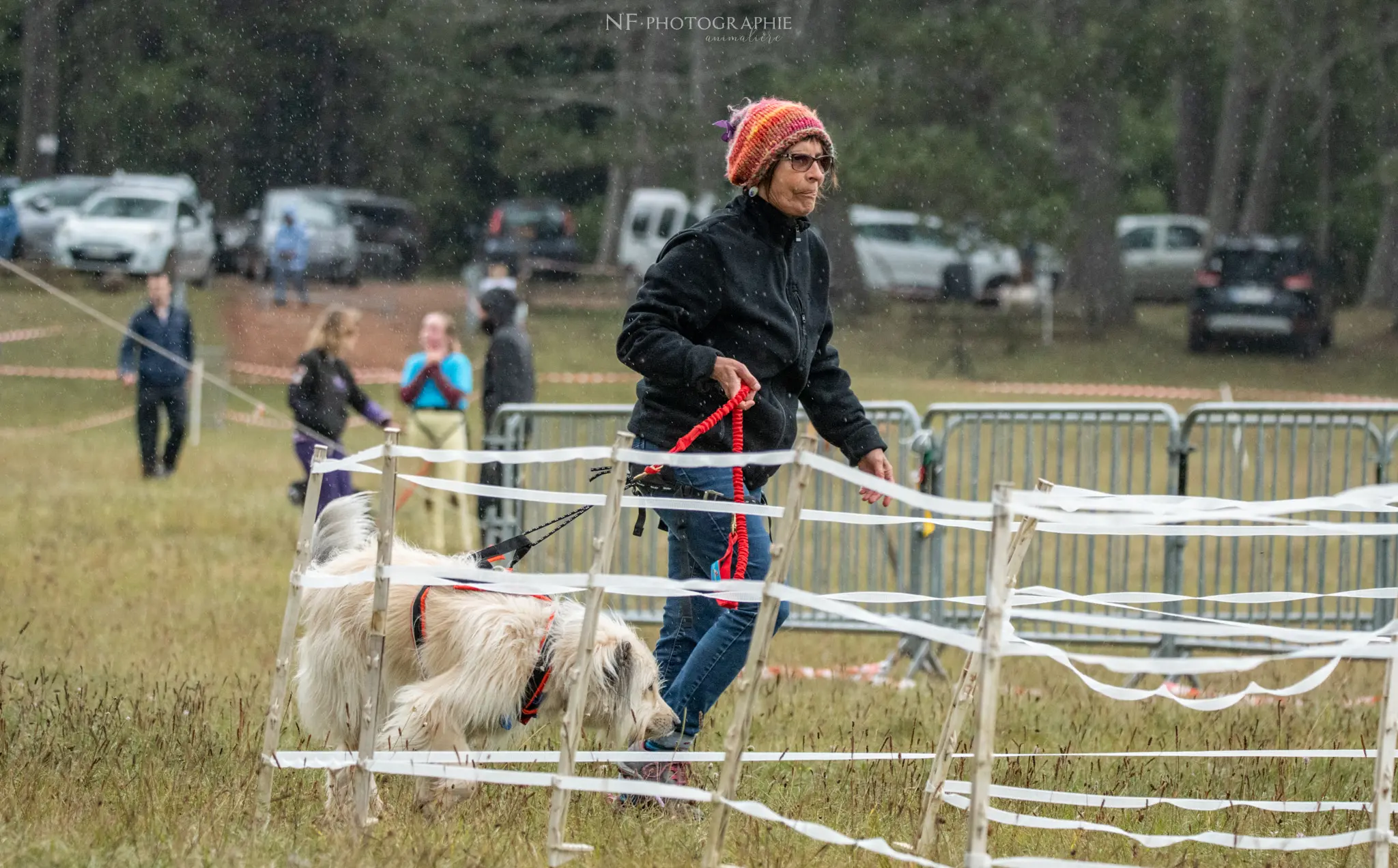 Cani-Parcours - Édition 2024 - Canifun