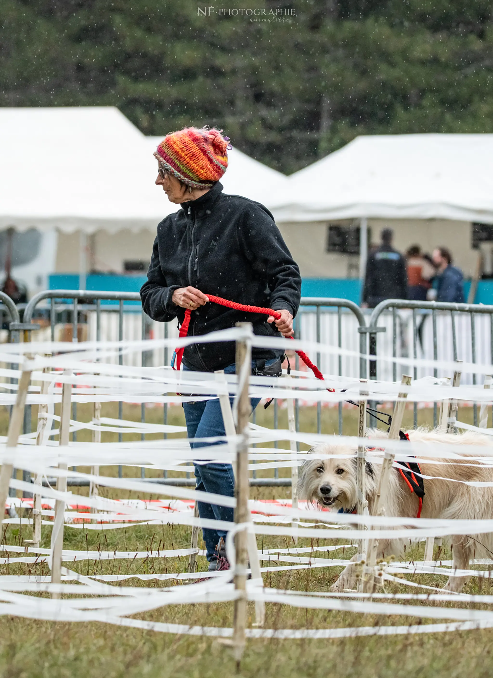 Cani-Parcours - Édition 2024 - Canifun