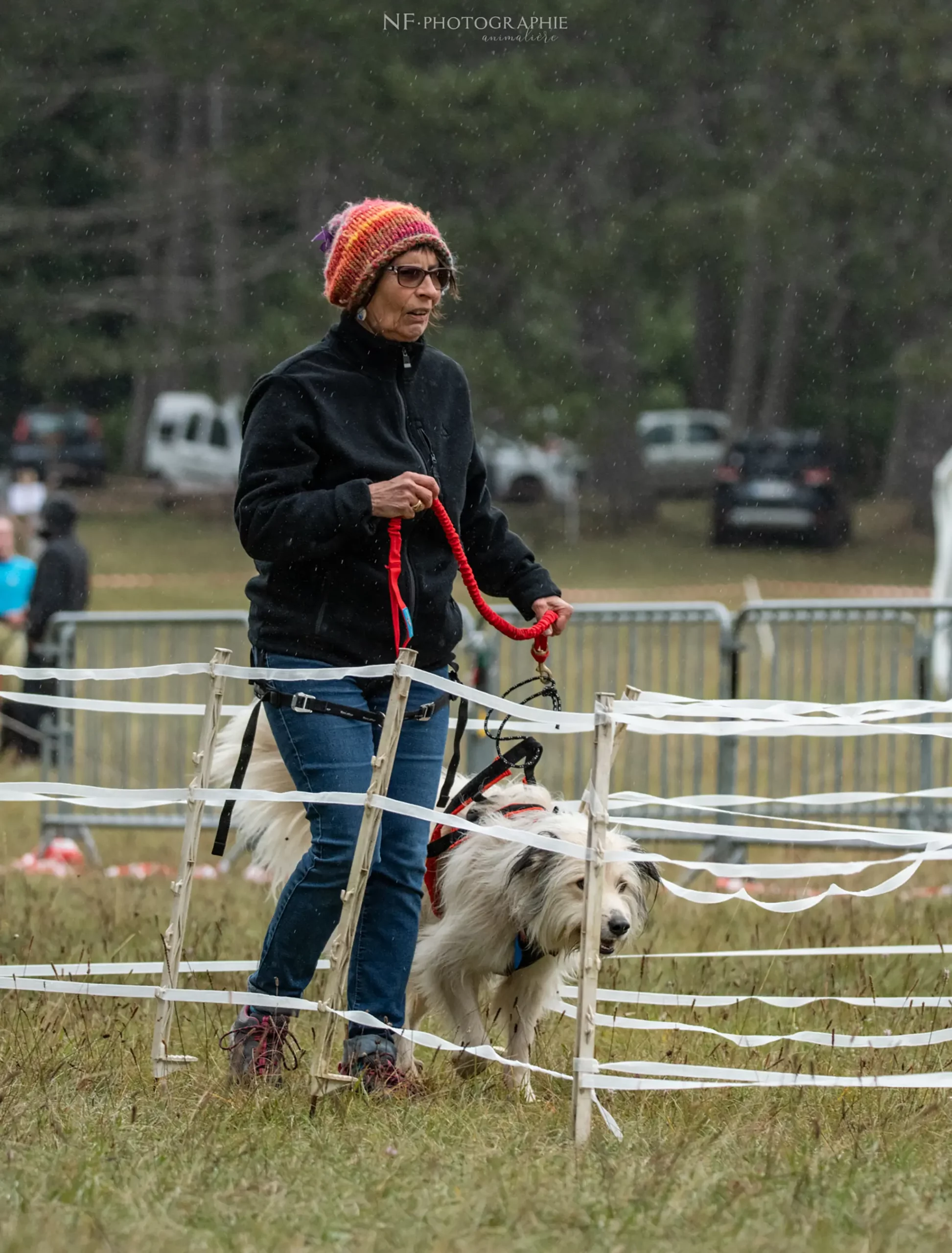 Cani-Parcours - Édition 2024 - Canifun