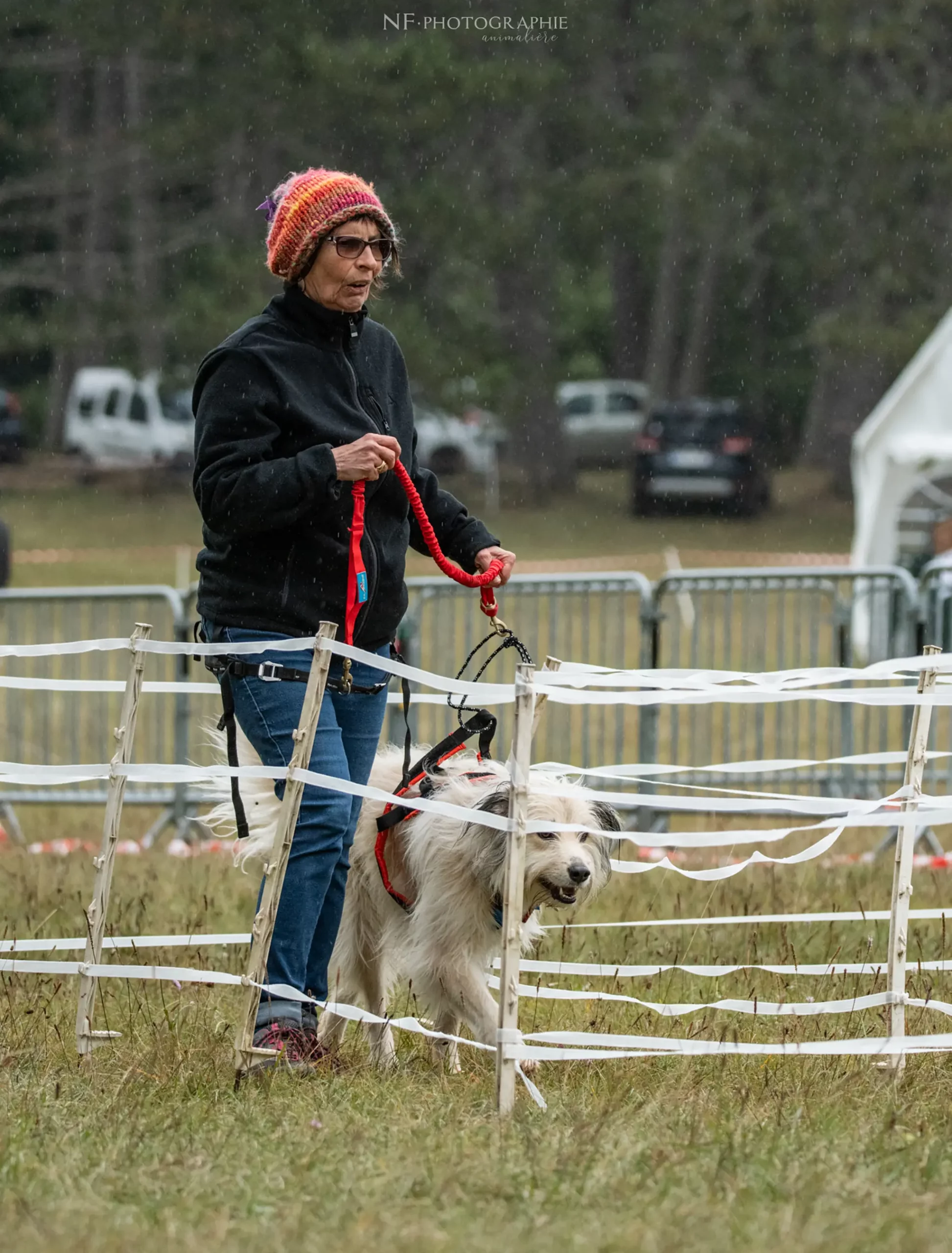 Cani-Parcours - Édition 2024 - Canifun