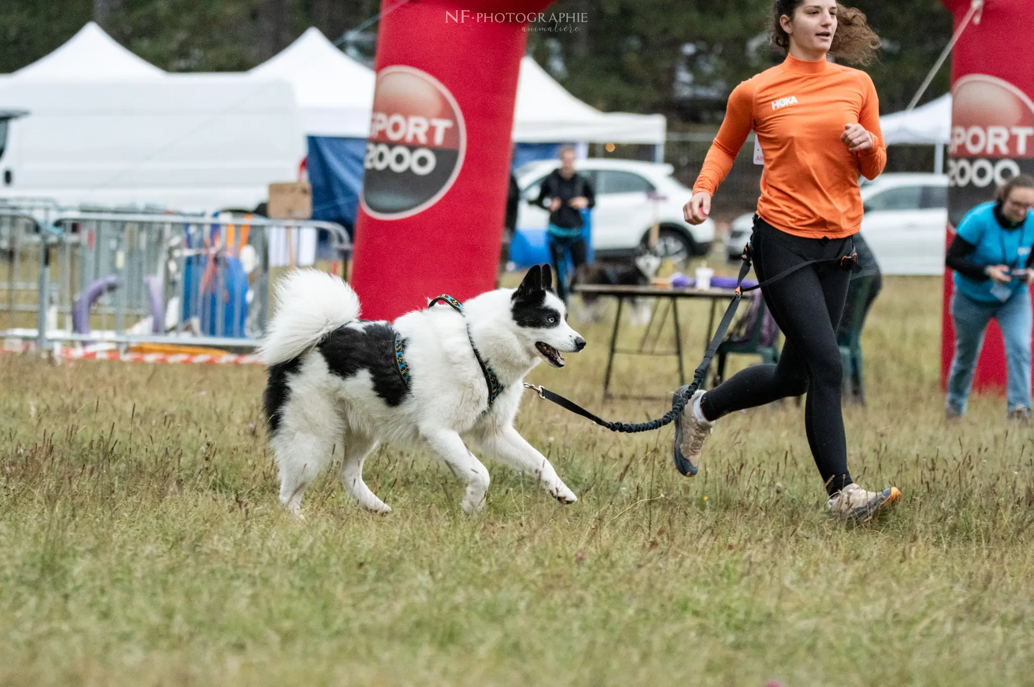 Cani-Parcours - Édition 2024 - Canifun