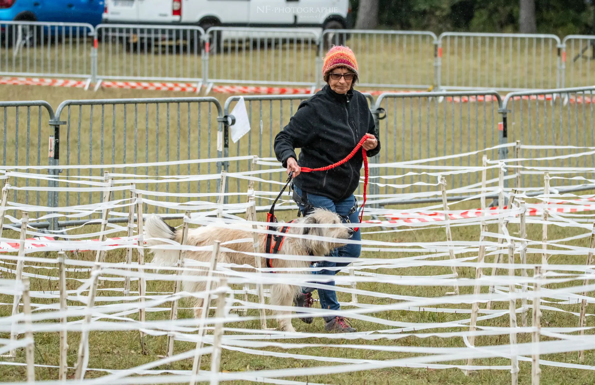 Cani-Parcours - Édition 2024 - Canifun