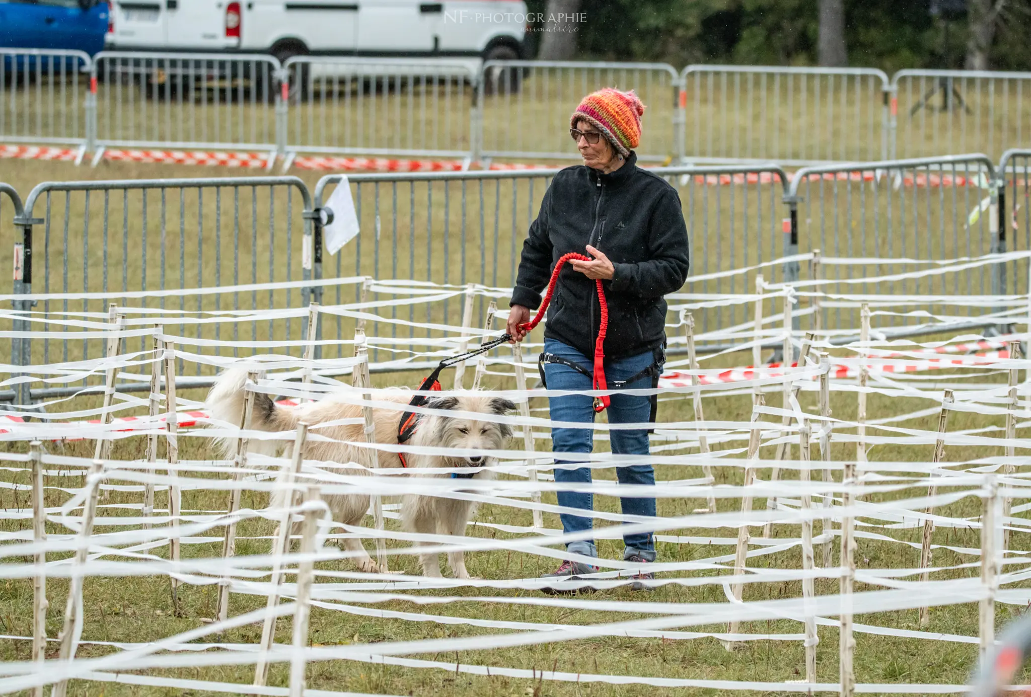 Cani-Parcours - Édition 2024 - Canifun