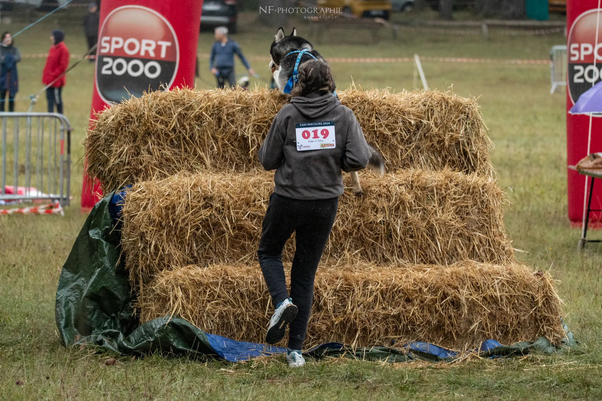 Cani-Parcours - Édition 2024 - Canifun