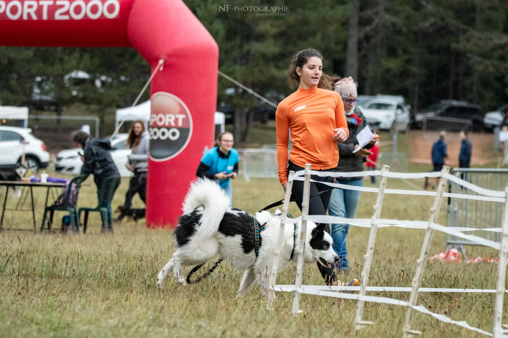 Cani-Parcours - Édition 2024 - Canifun