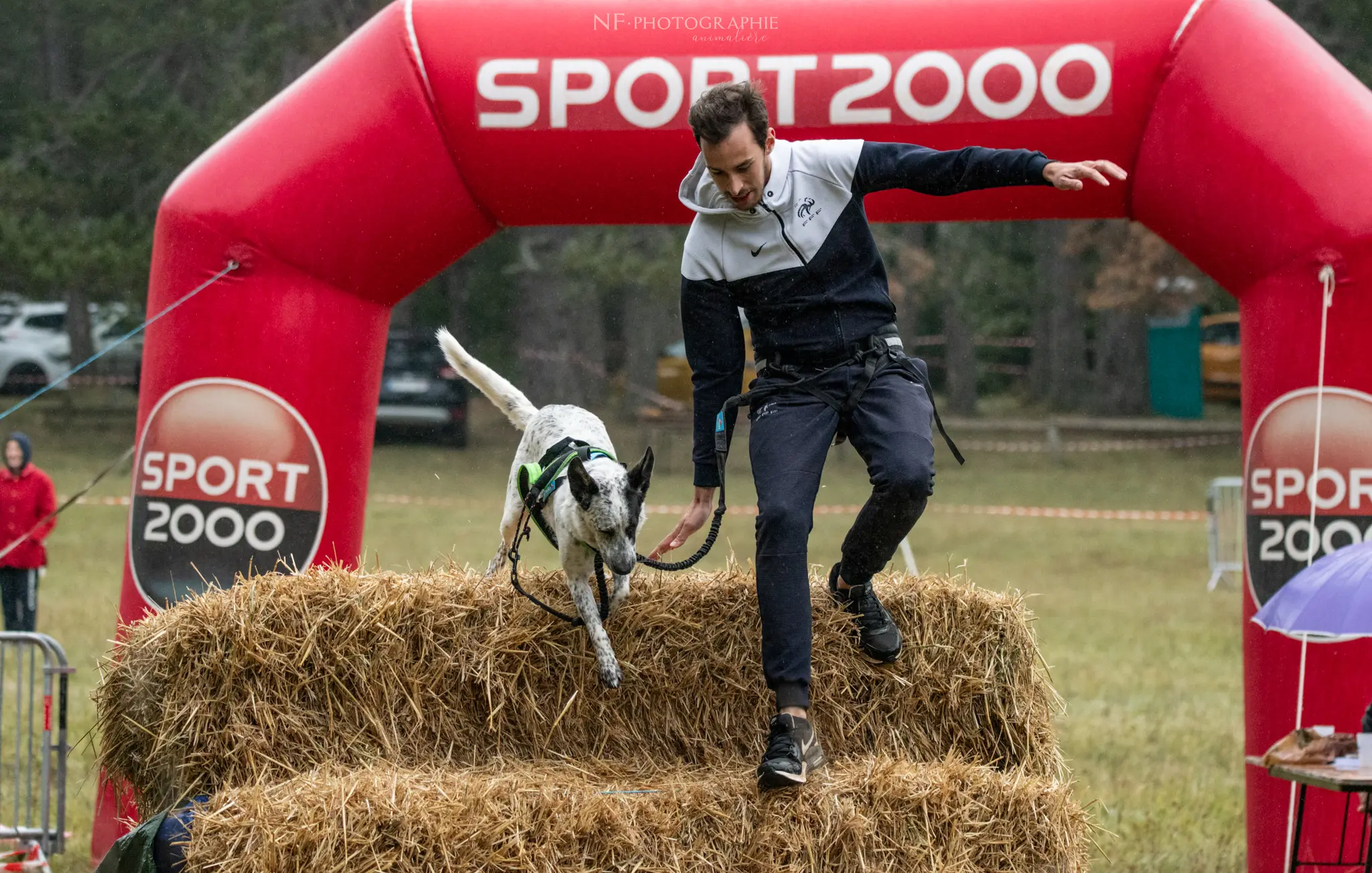 Cani-Parcours - Édition 2024 - Canifun