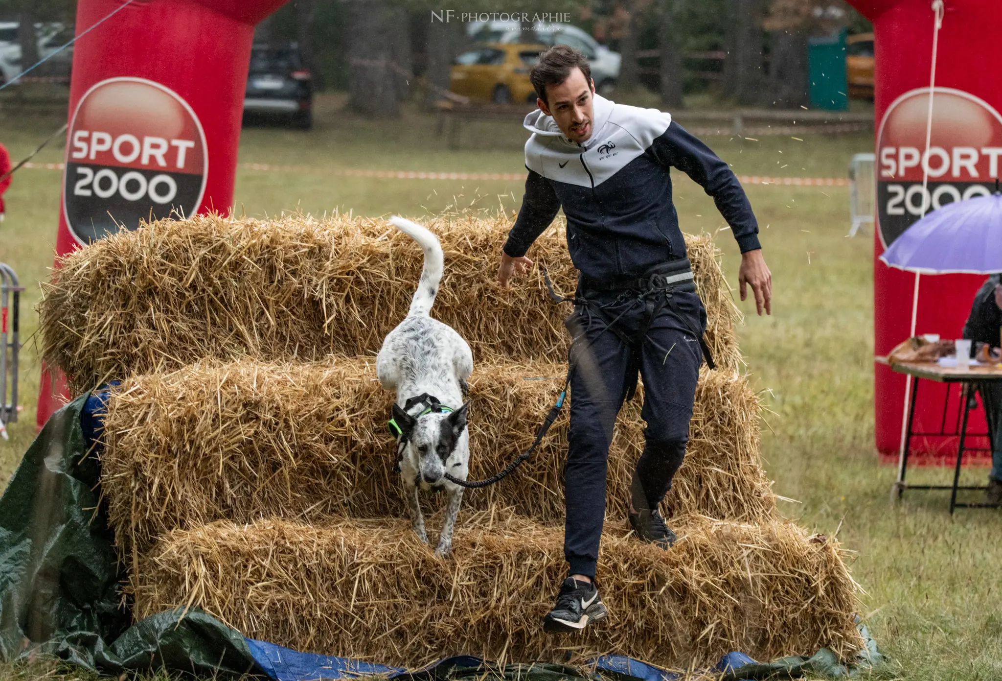 Cani-Parcours - Édition 2024 - Canifun