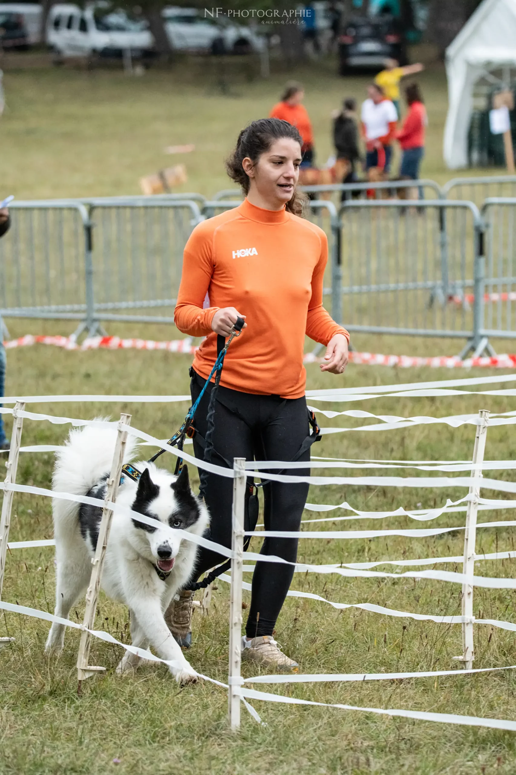 Cani-Parcours - Édition 2024 - Canifun