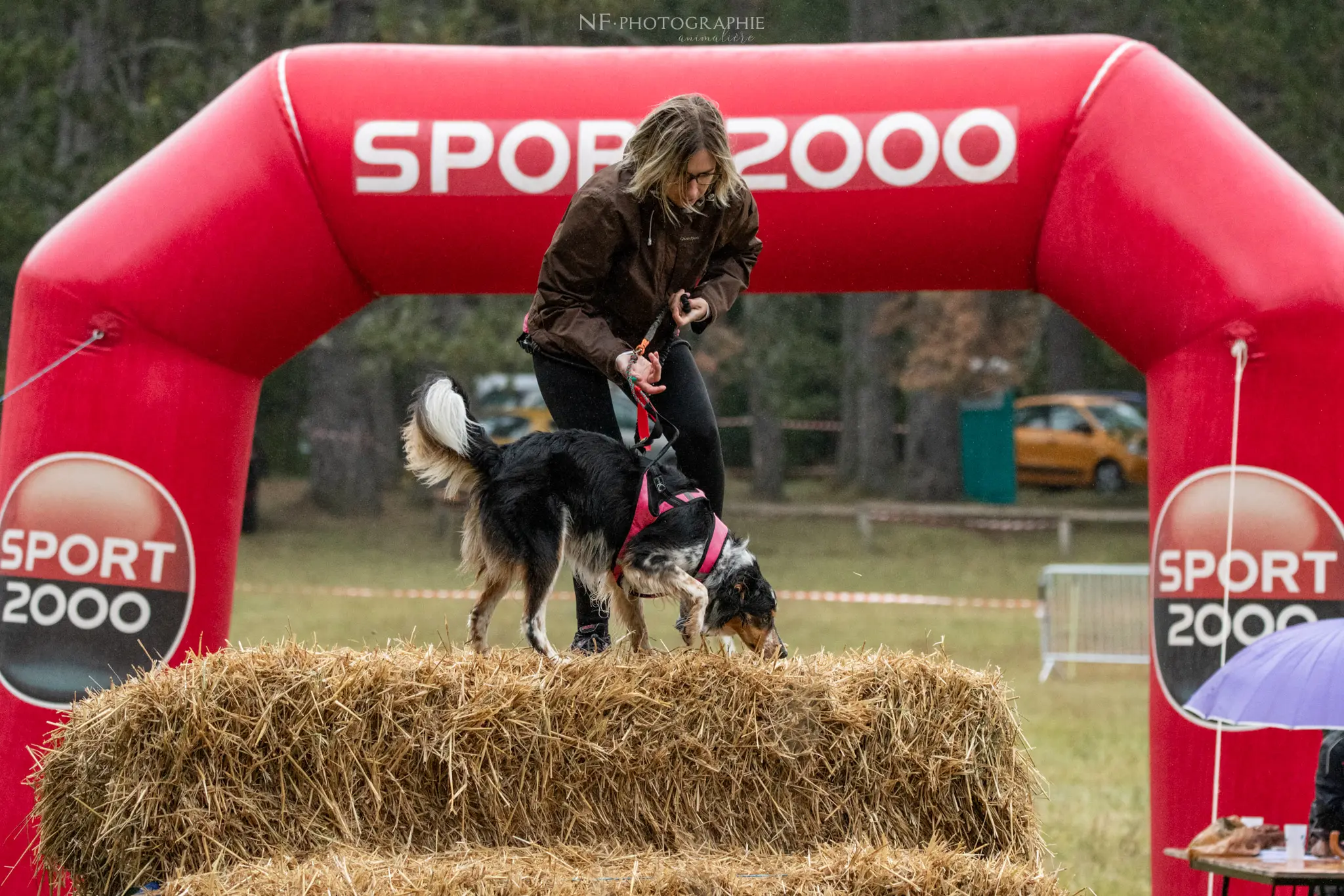 Cani-Parcours - Édition 2024 - Canifun