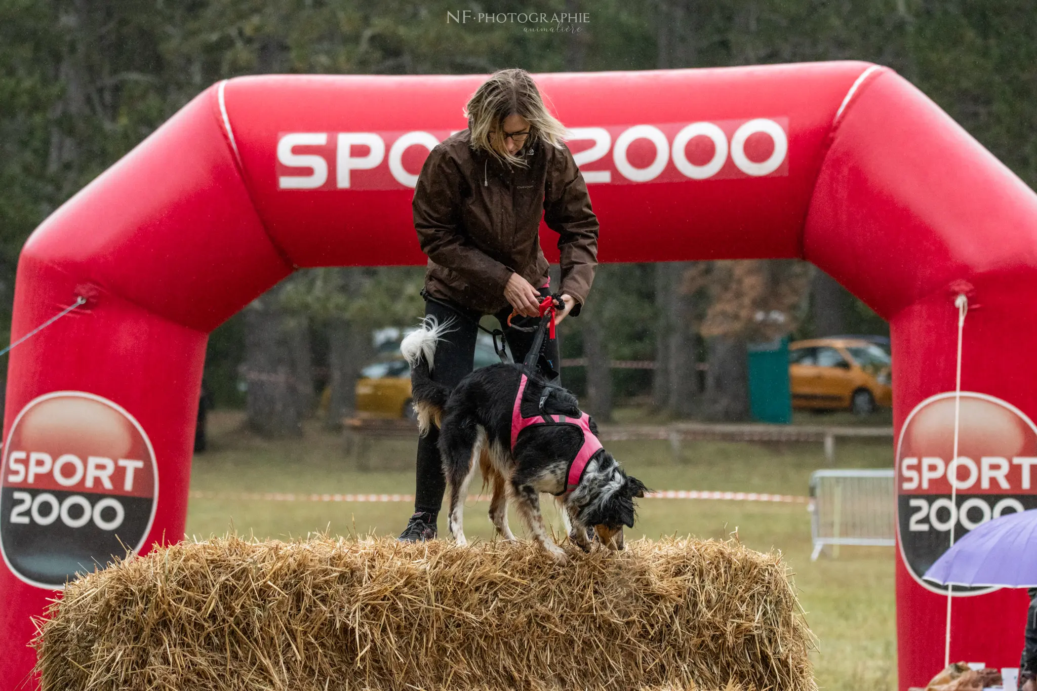 Cani-Parcours - Édition 2024 - Canifun