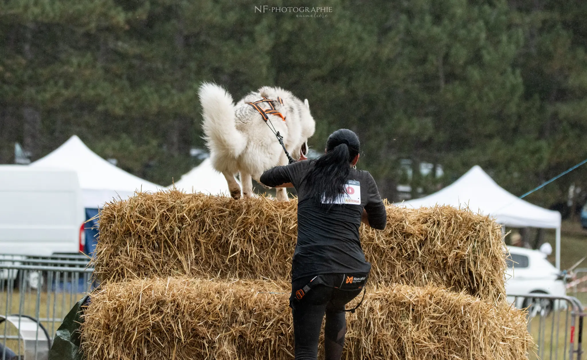 Cani-Parcours - Édition 2024 - Canifun