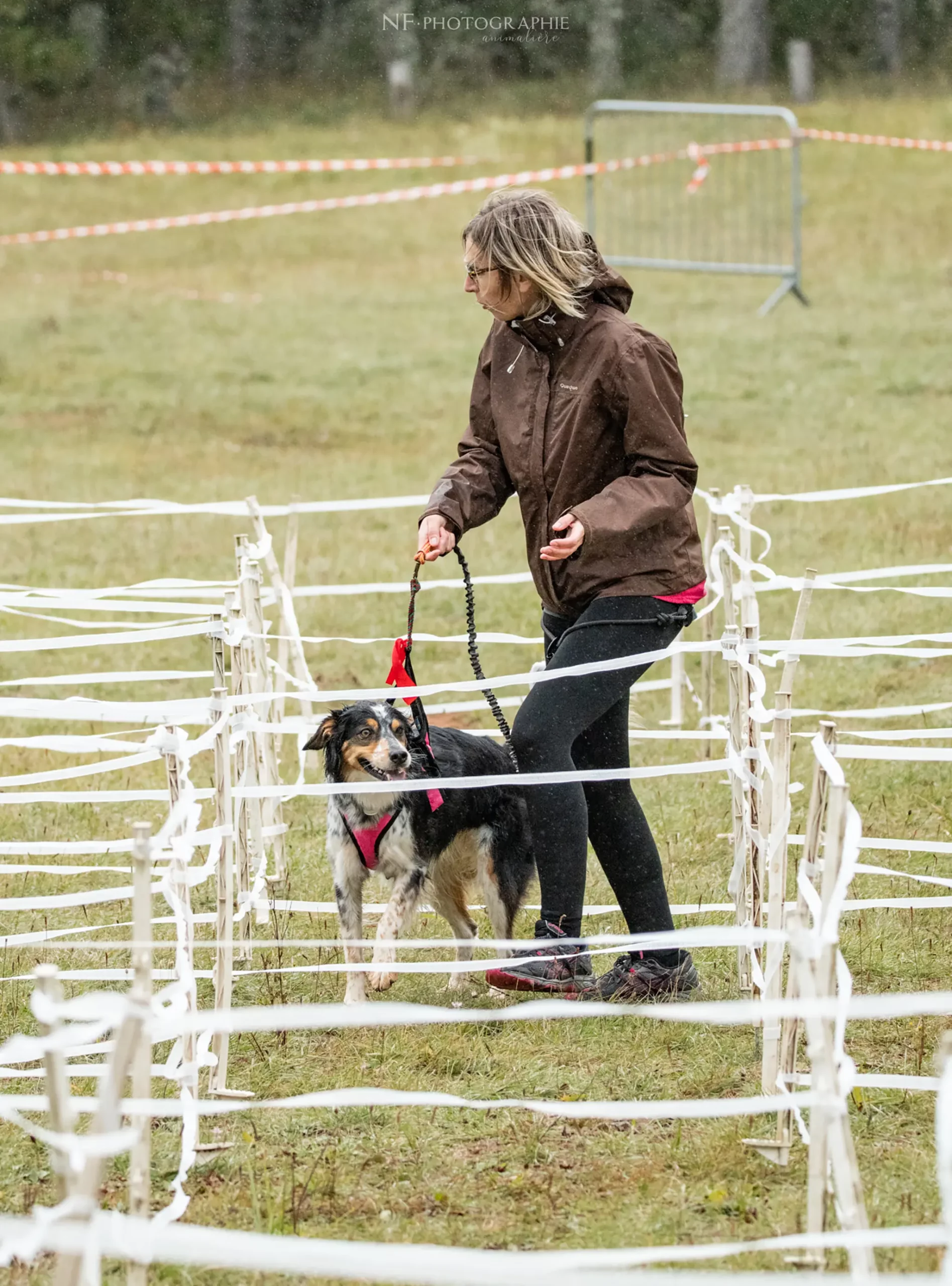 Cani-Parcours - Édition 2024 - Canifun