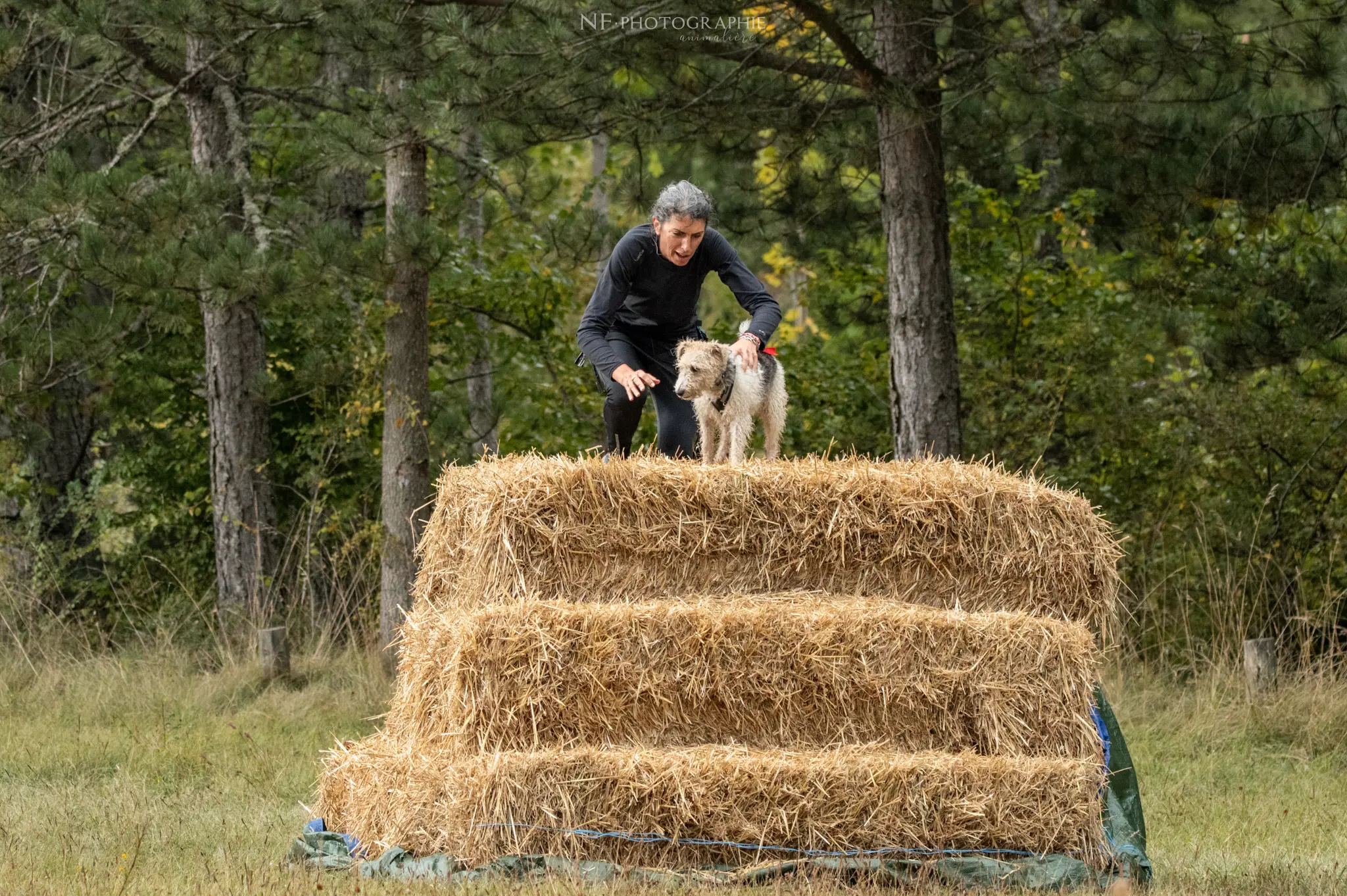 Cani-Parcours - Édition 2024 - Canifun