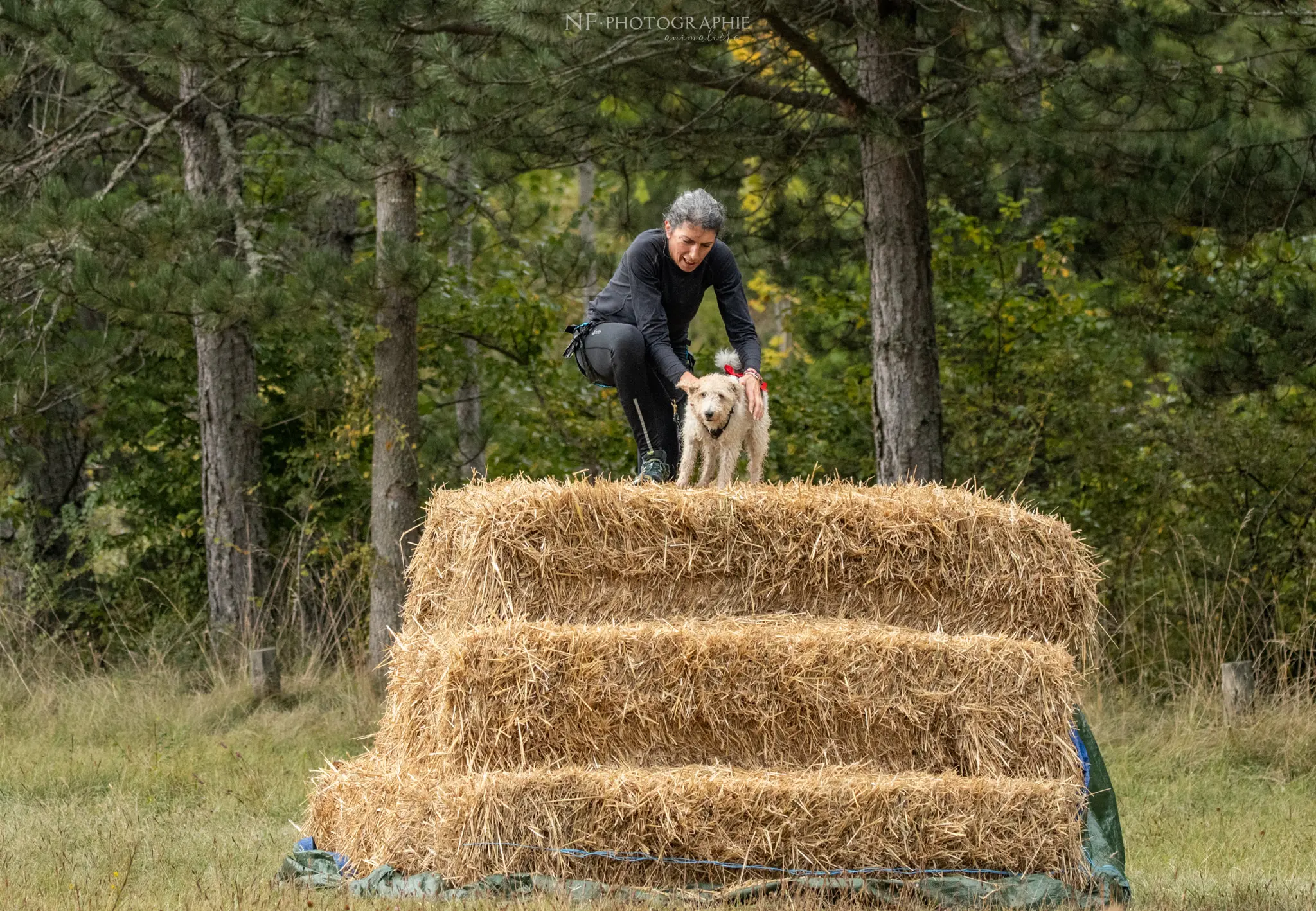 Cani-Parcours - Édition 2024 - Canifun