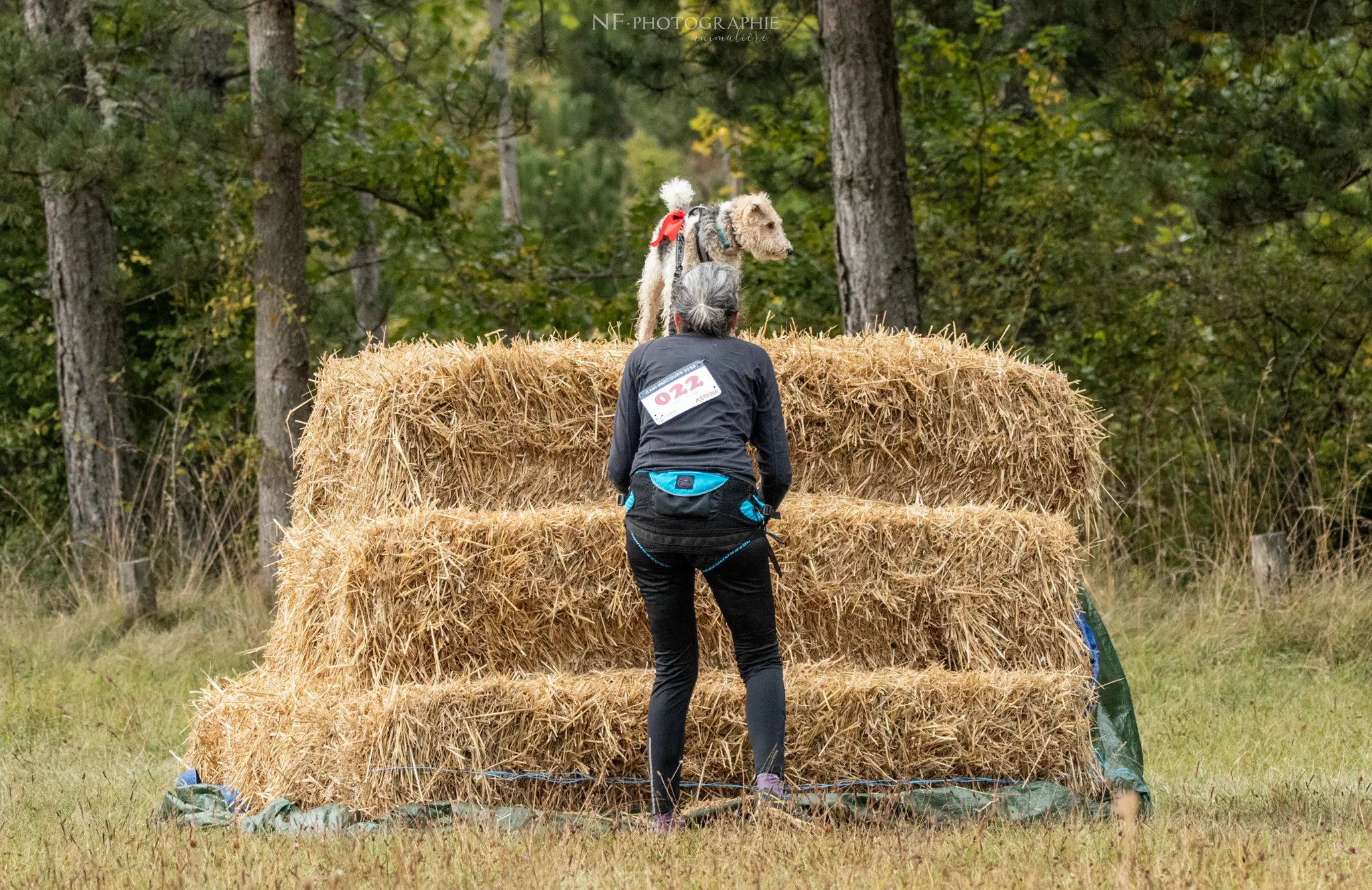 Cani-Parcours - Édition 2024 - Canifun