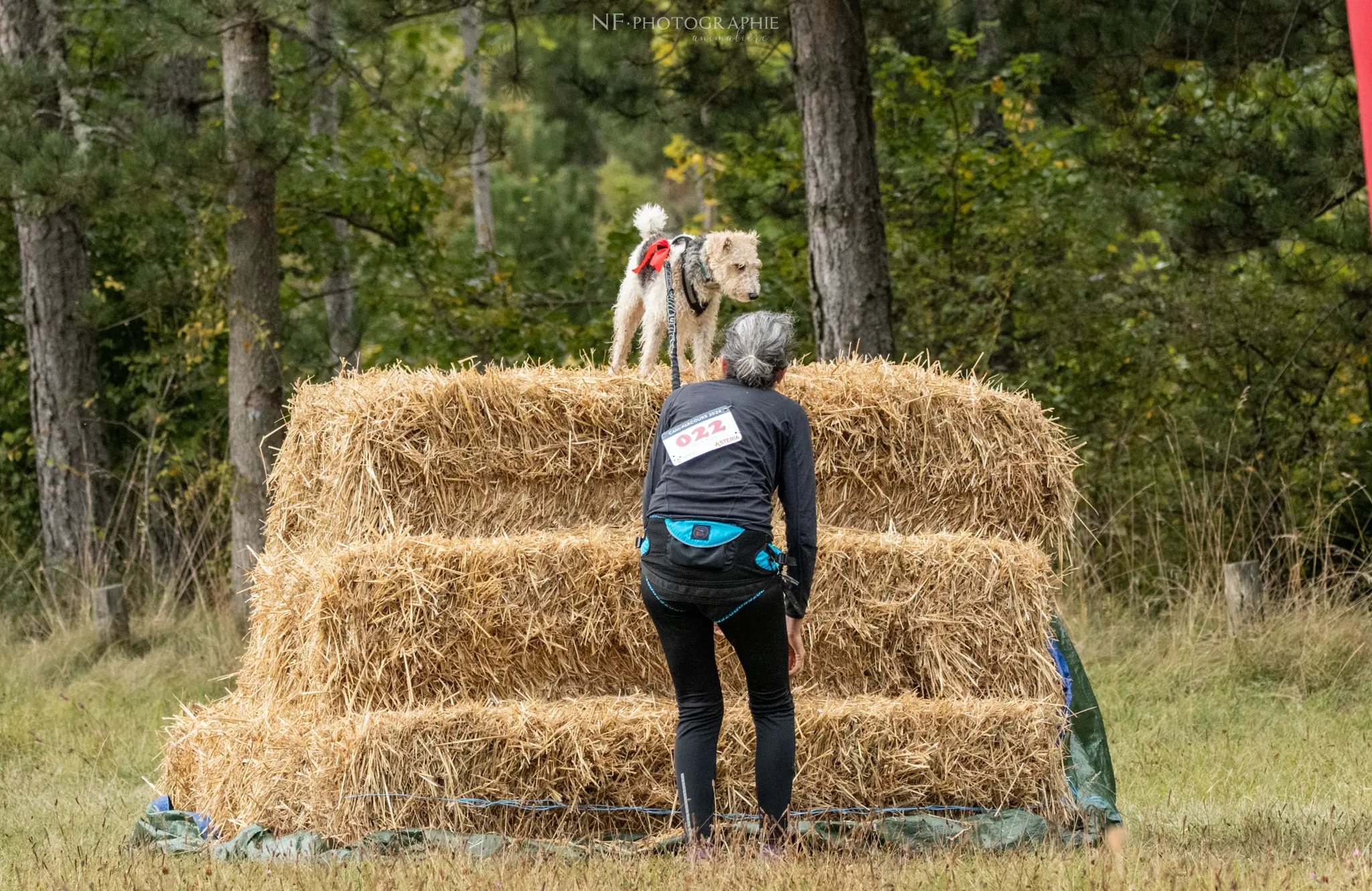 Cani-Parcours - Édition 2024 - Canifun