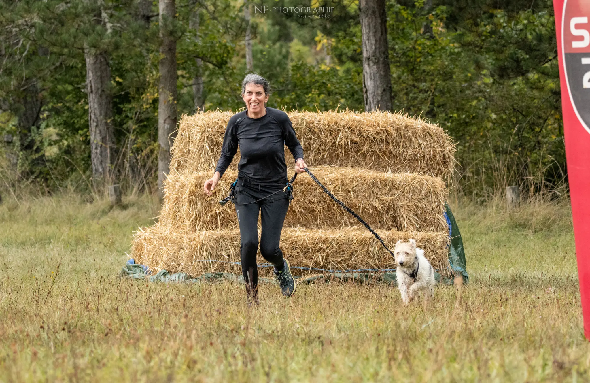 Cani-Parcours - Édition 2024 - Canifun