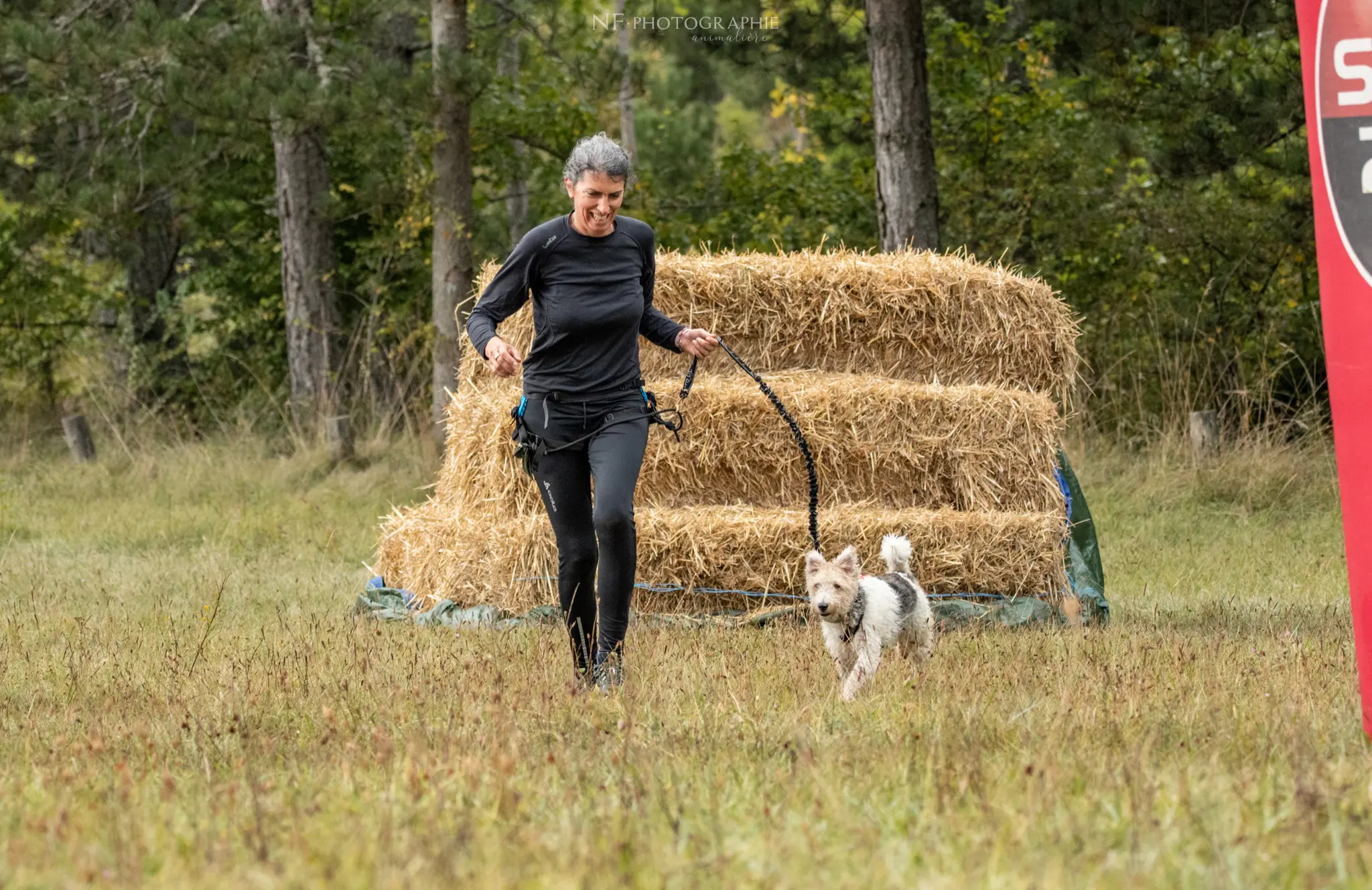 Cani-Parcours - Édition 2024 - Canifun