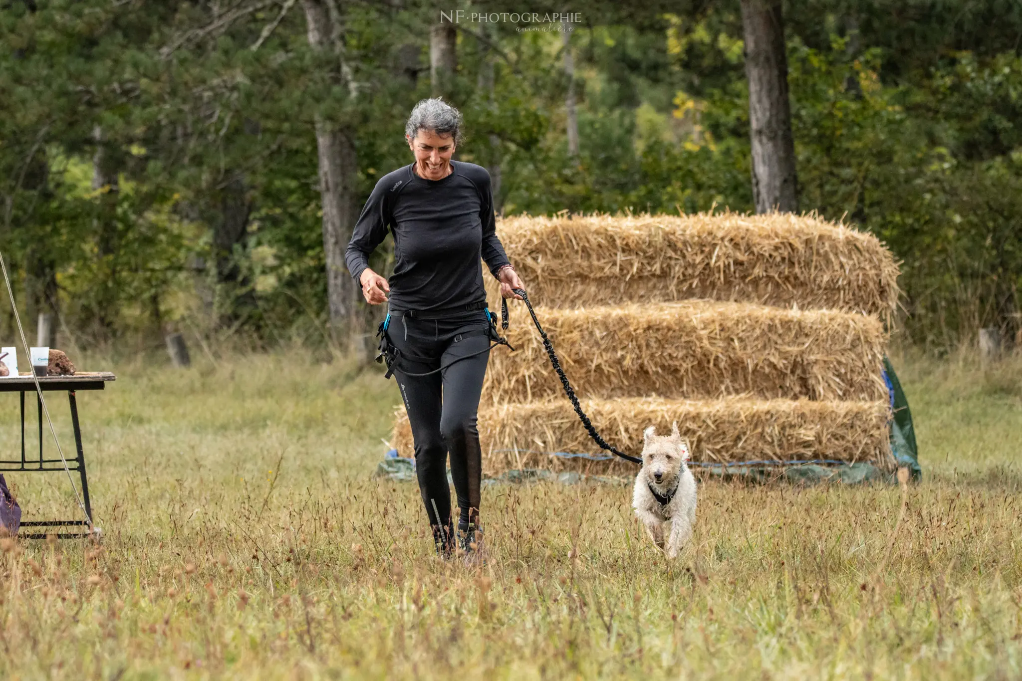 Cani-Parcours - Édition 2024 - Canifun