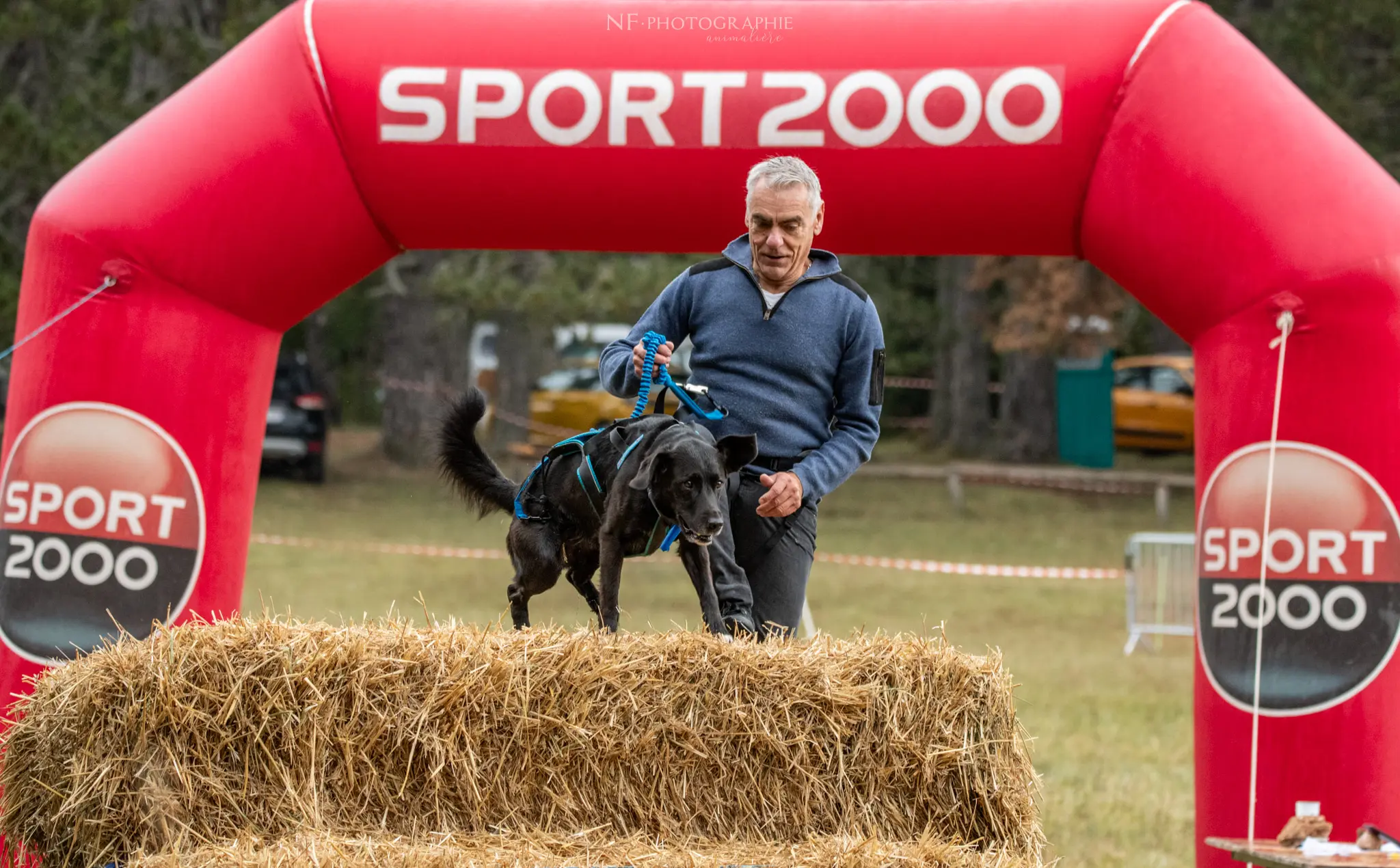 Cani-Parcours - Édition 2024 - Canifun