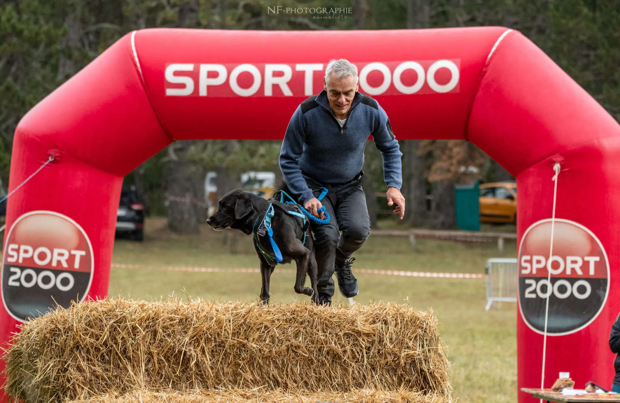 Cani-Parcours - Édition 2024 - Canifun