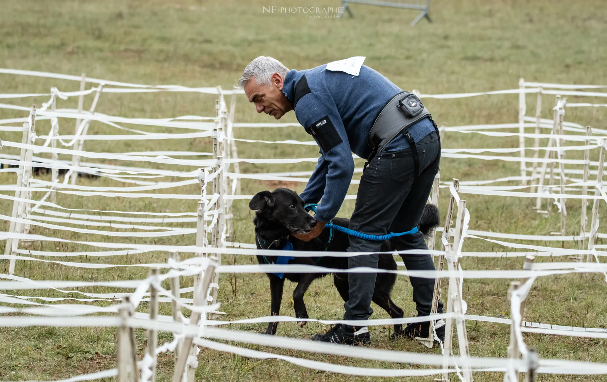 Cani-Parcours - Édition 2024 - Canifun