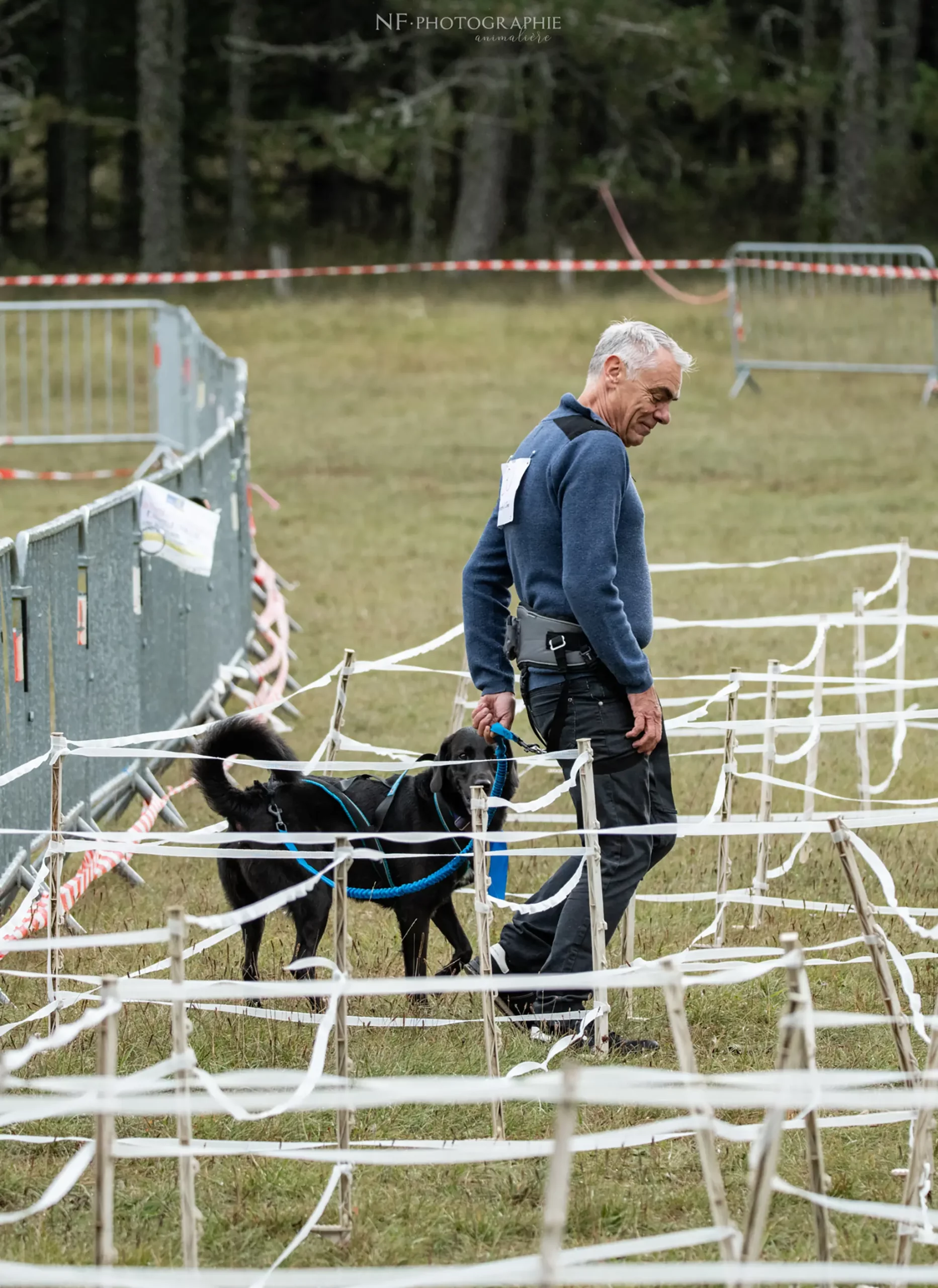 Cani-Parcours - Édition 2024 - Canifun