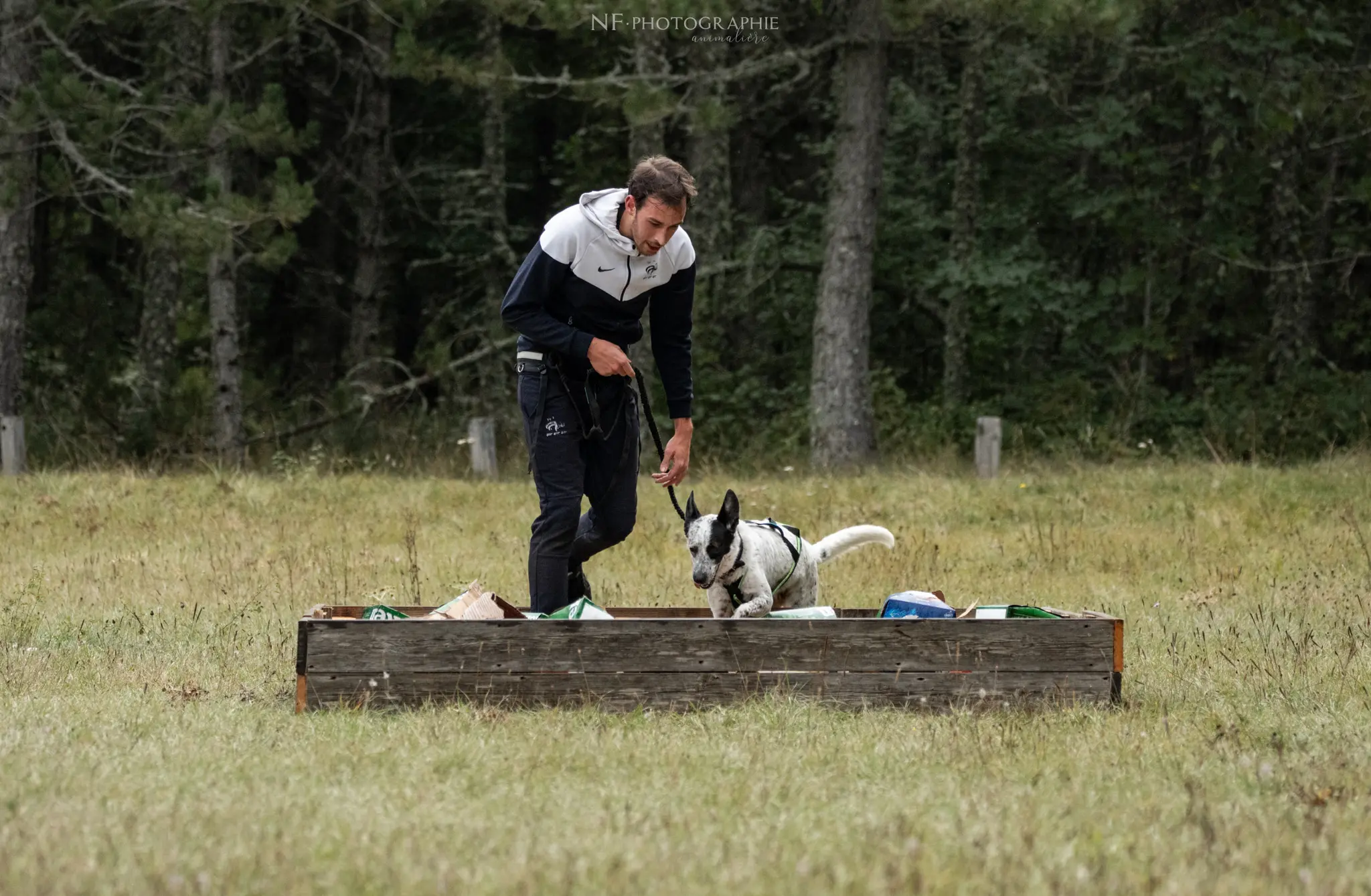 Cani-Parcours - Édition 2024 - Canifun