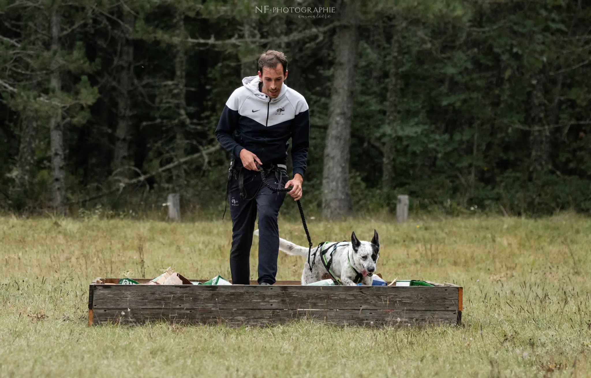 Cani-Parcours - Édition 2024 - Canifun