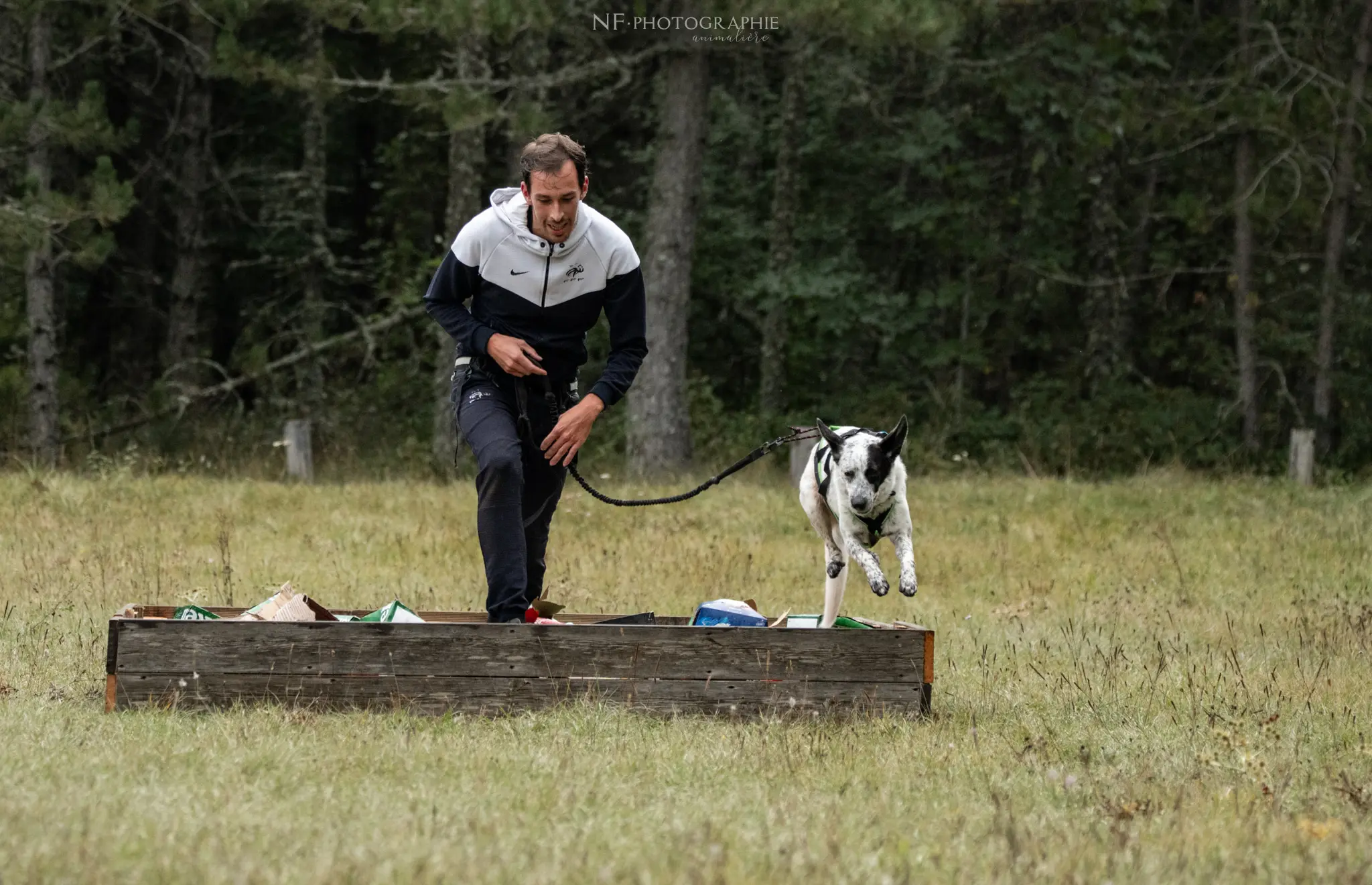 Cani-Parcours - Édition 2024 - Canifun