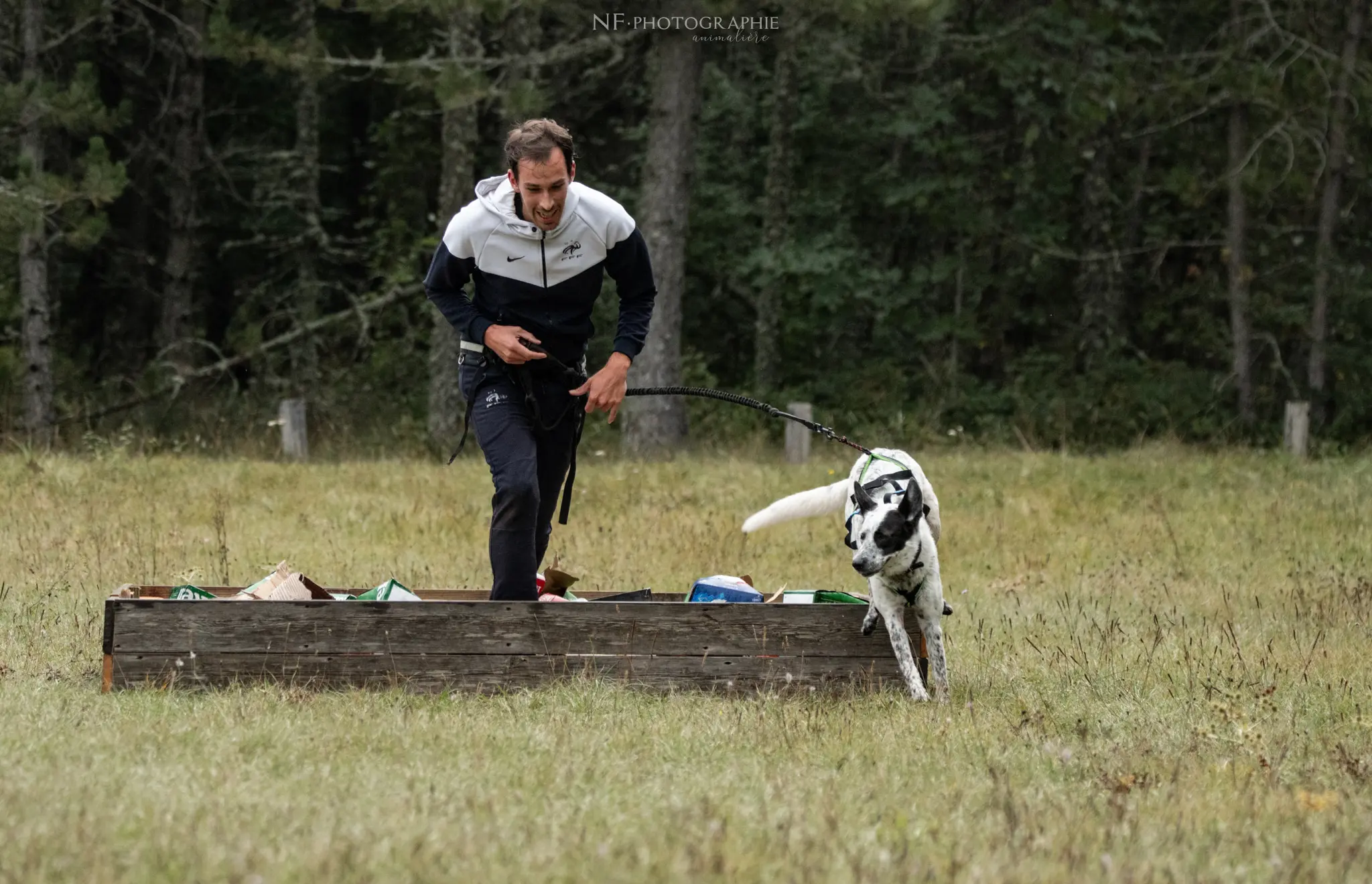 Cani-Parcours - Édition 2024 - Canifun