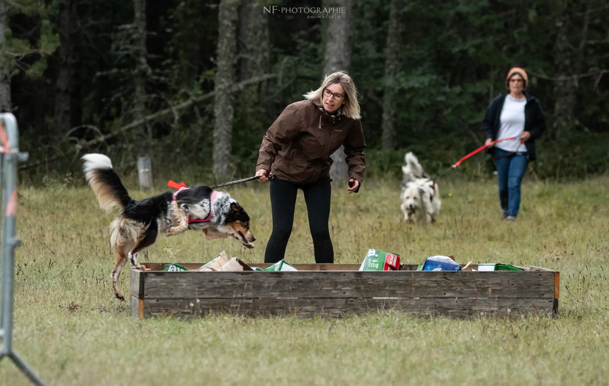 Cani-Parcours - Édition 2024 - Canifun