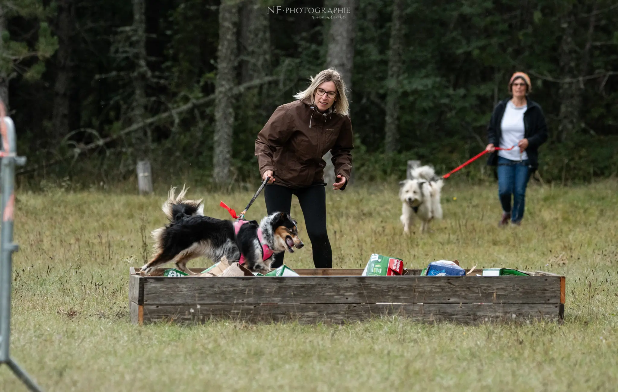 Cani-Parcours - Édition 2024 - Canifun