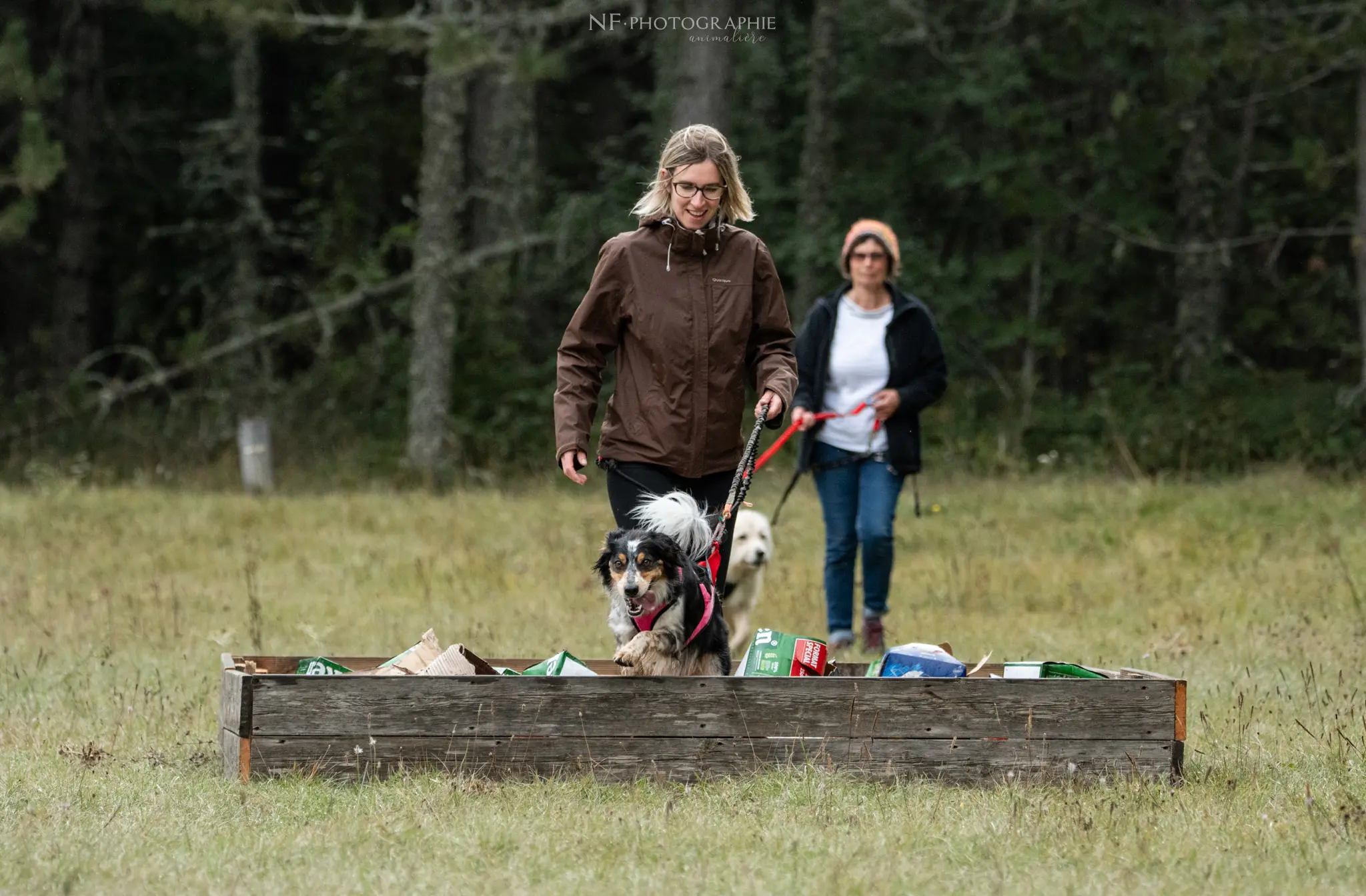 Cani-Parcours - Édition 2024 - Canifun