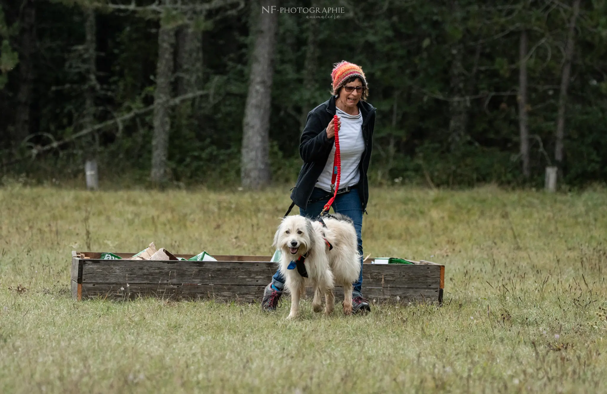 Cani-Parcours - Édition 2024 - Canifun