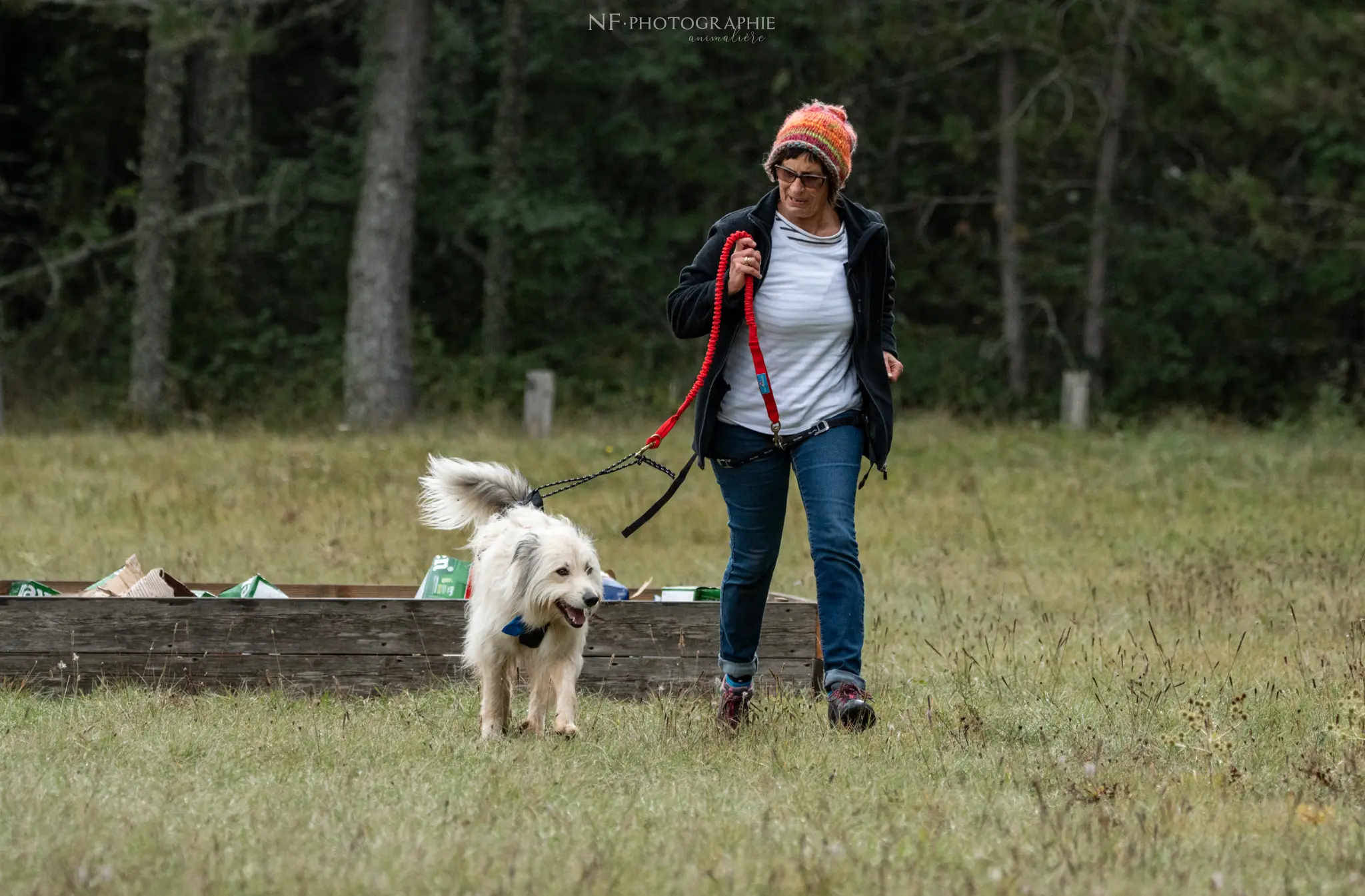 Cani-Parcours - Édition 2024 - Canifun