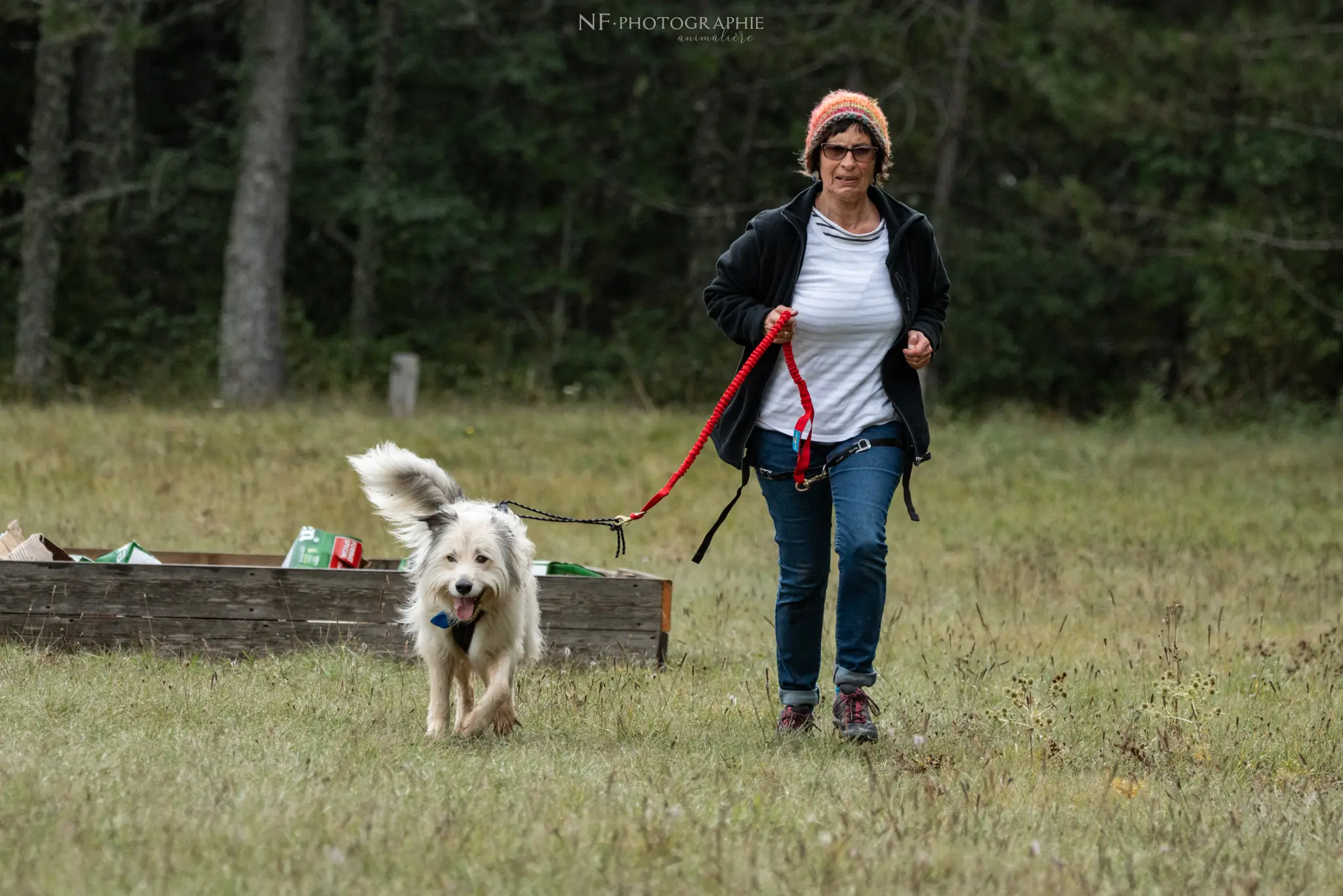 Cani-Parcours - Édition 2024 - Canifun