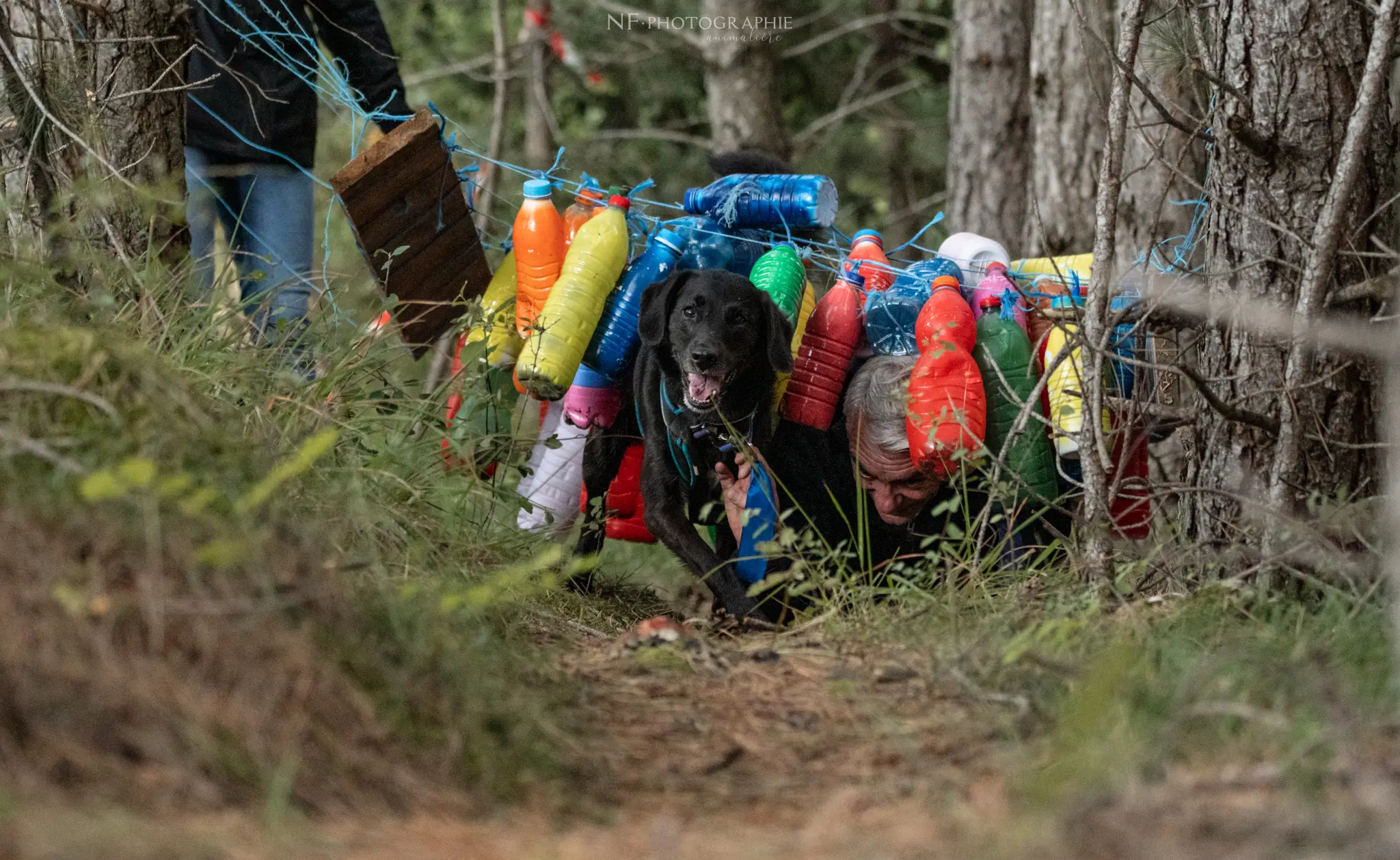 Cani-Parcours - Édition 2024 - Canifun