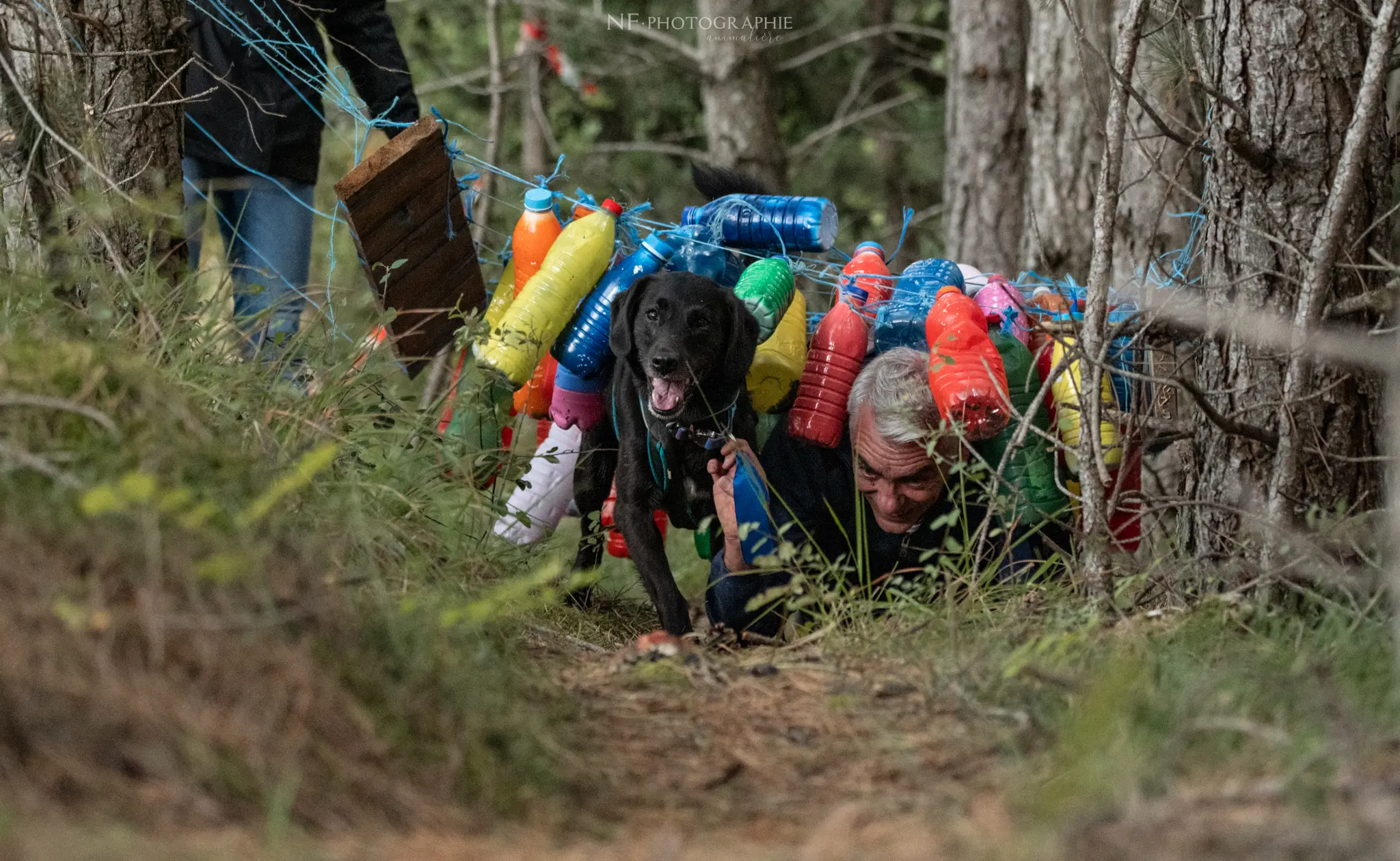 Cani-Parcours - Édition 2024 - Canifun