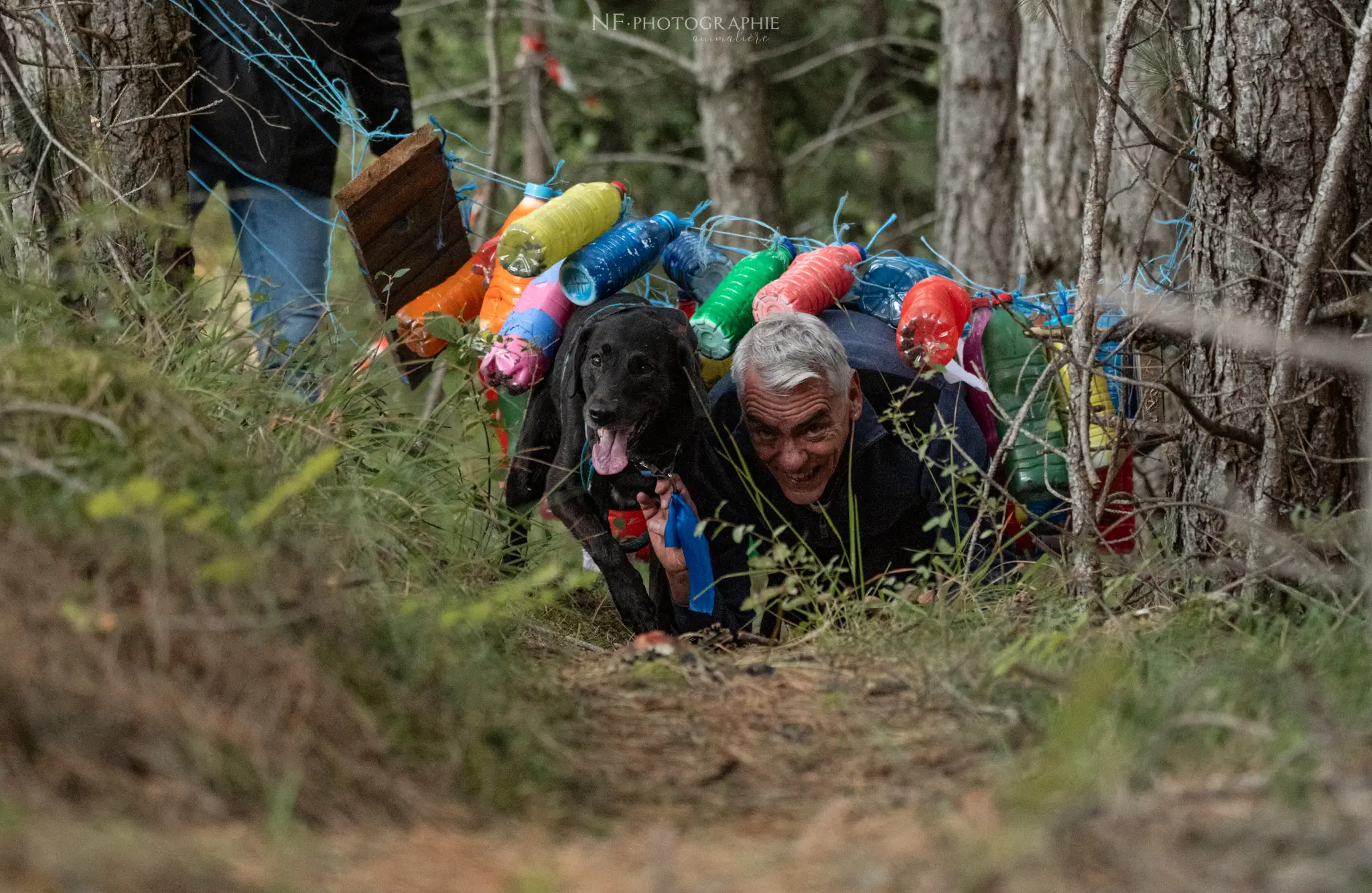 Cani-Parcours - Édition 2024 - Canifun