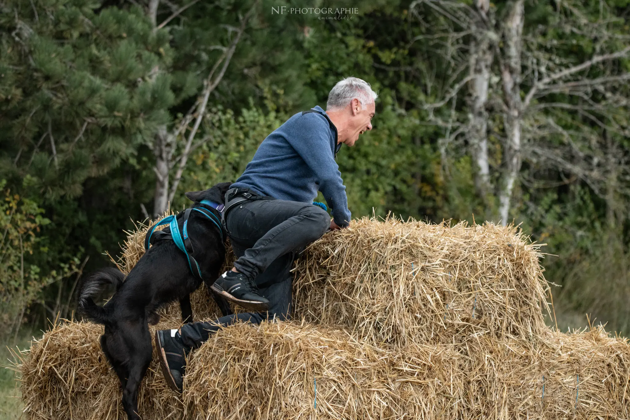 Cani-Parcours - Édition 2024 - Canifun